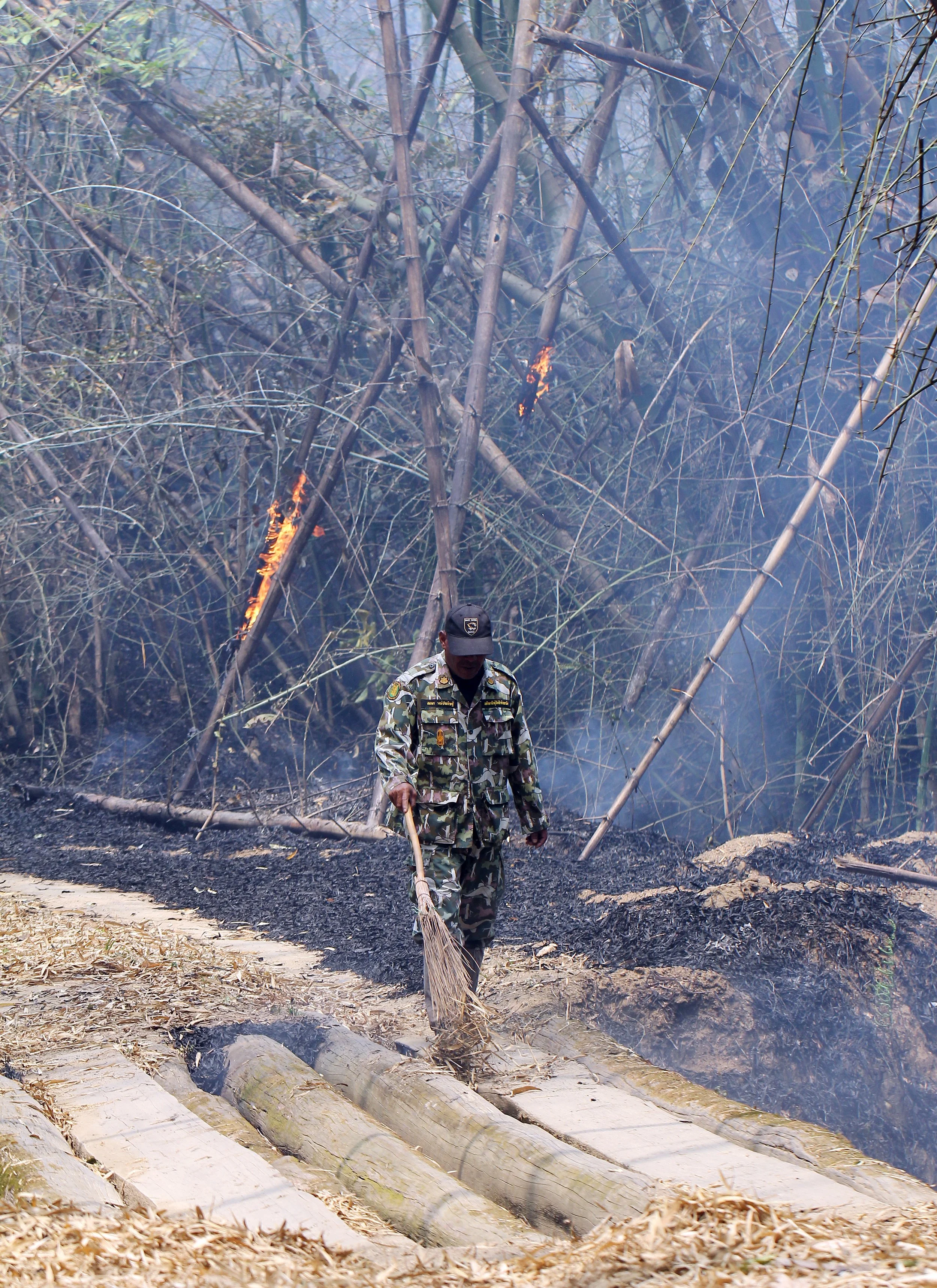 2015 Huai Mai Dee Huai Kha Khaeng Wildlife Refute (29).JPG