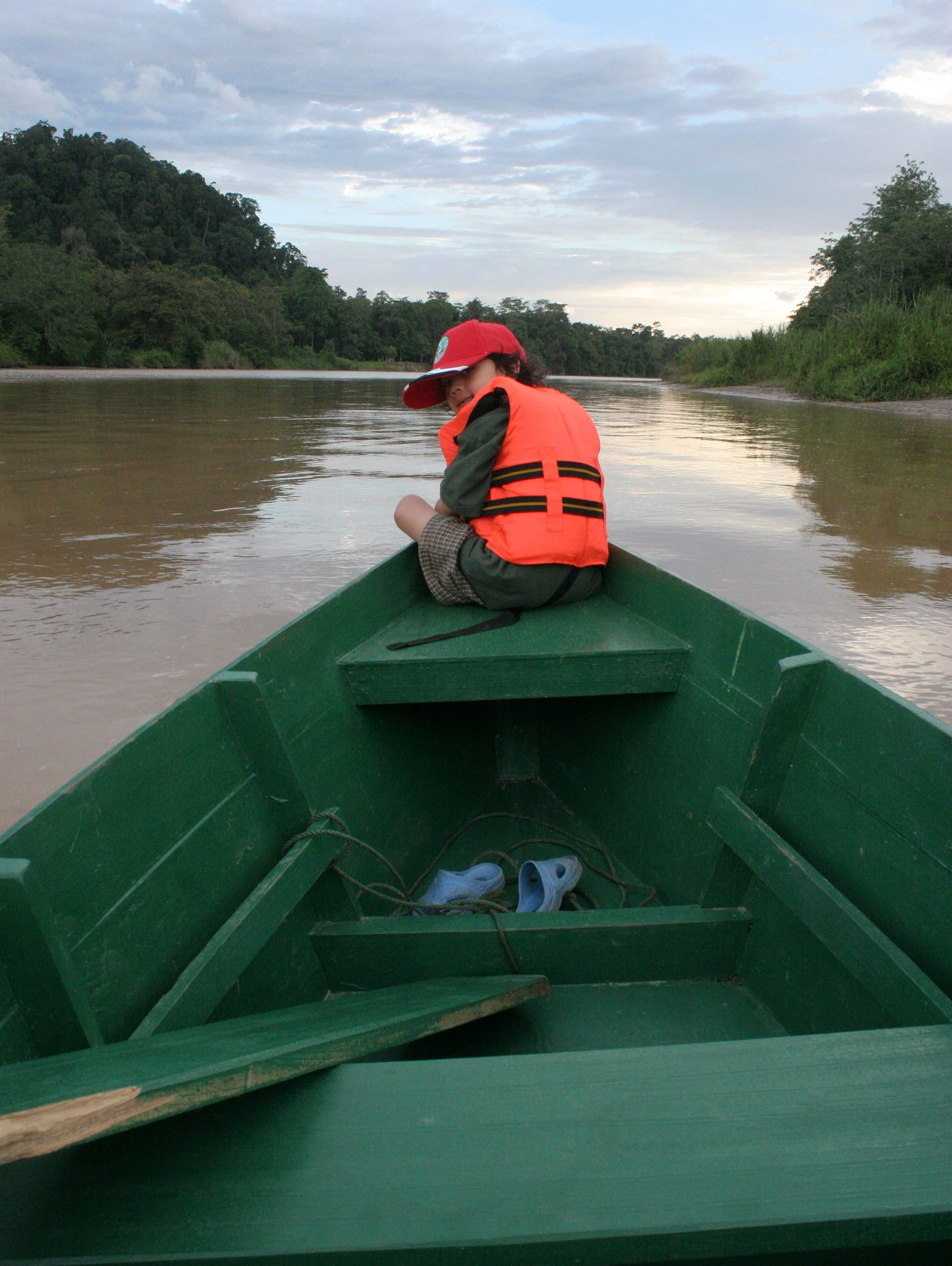 KINABATANGAN RIVER BORNEO - CRUISING THE RIVER (3).JPG