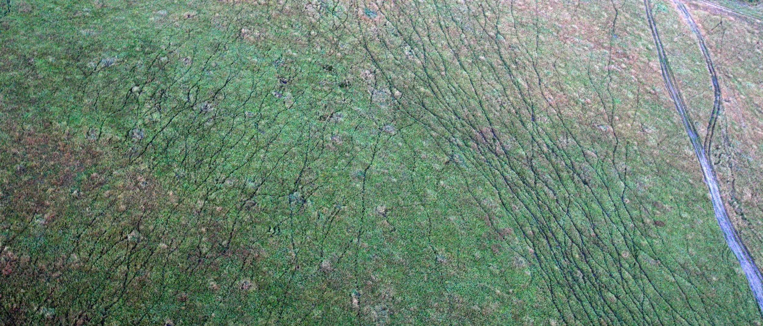 MASAI MARA NATIONAL PARK KENYA (79).JPG