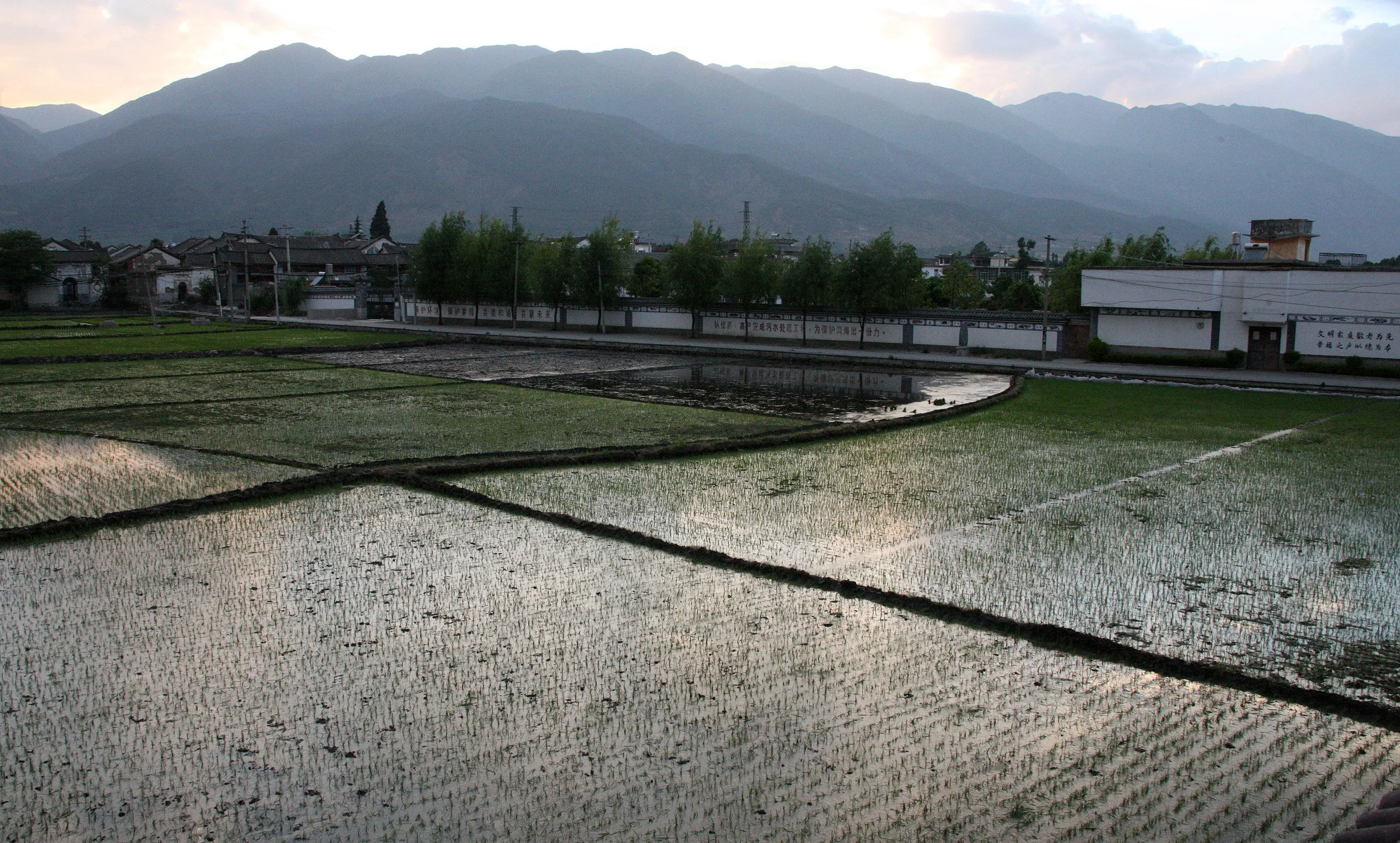LINDEN CENTER - XIZHOU VILLAGE YUNNAN CHINA (31).JPG