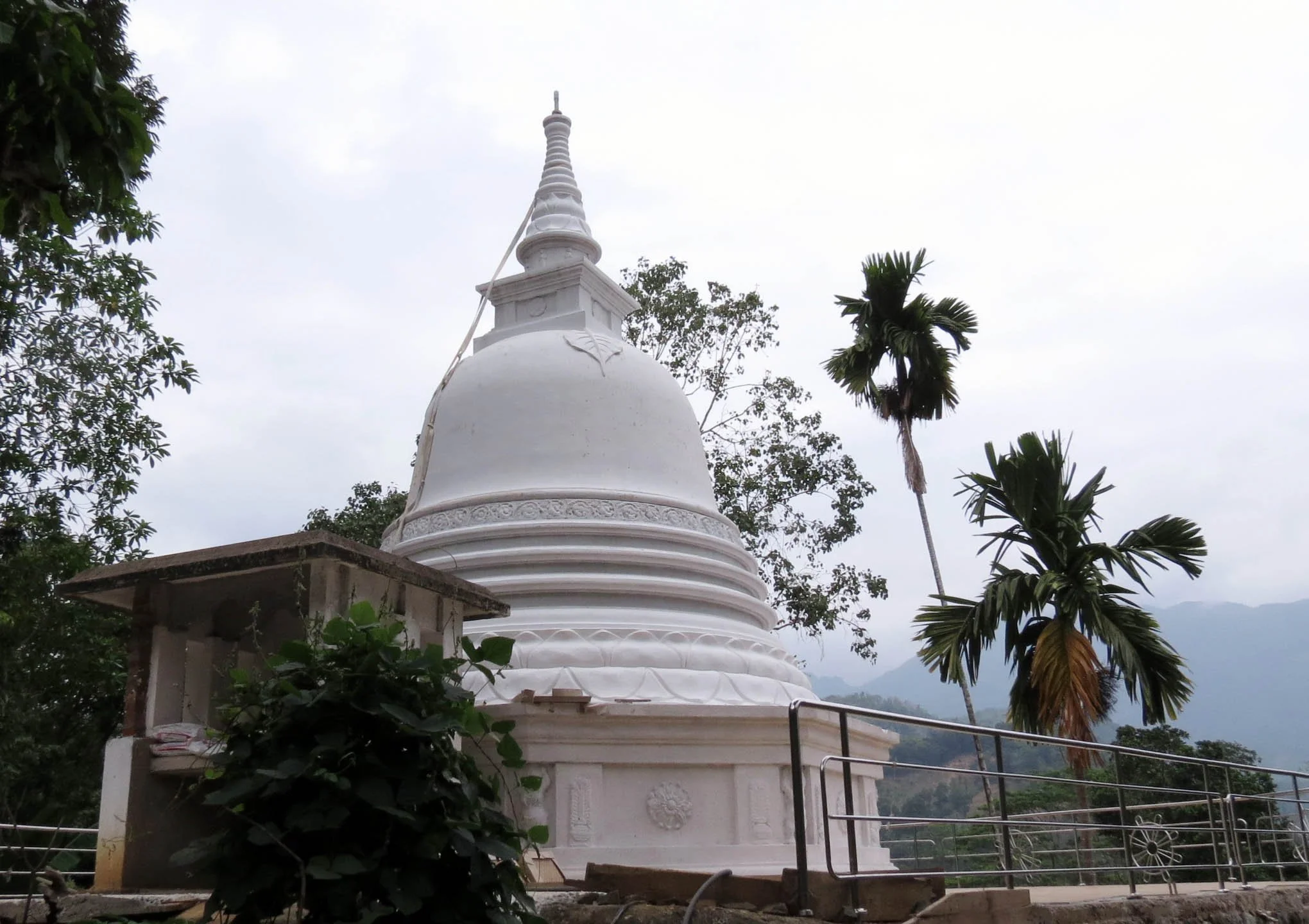 KITULGALA FOREST PRESERVE SRI LANKA (23).JPG