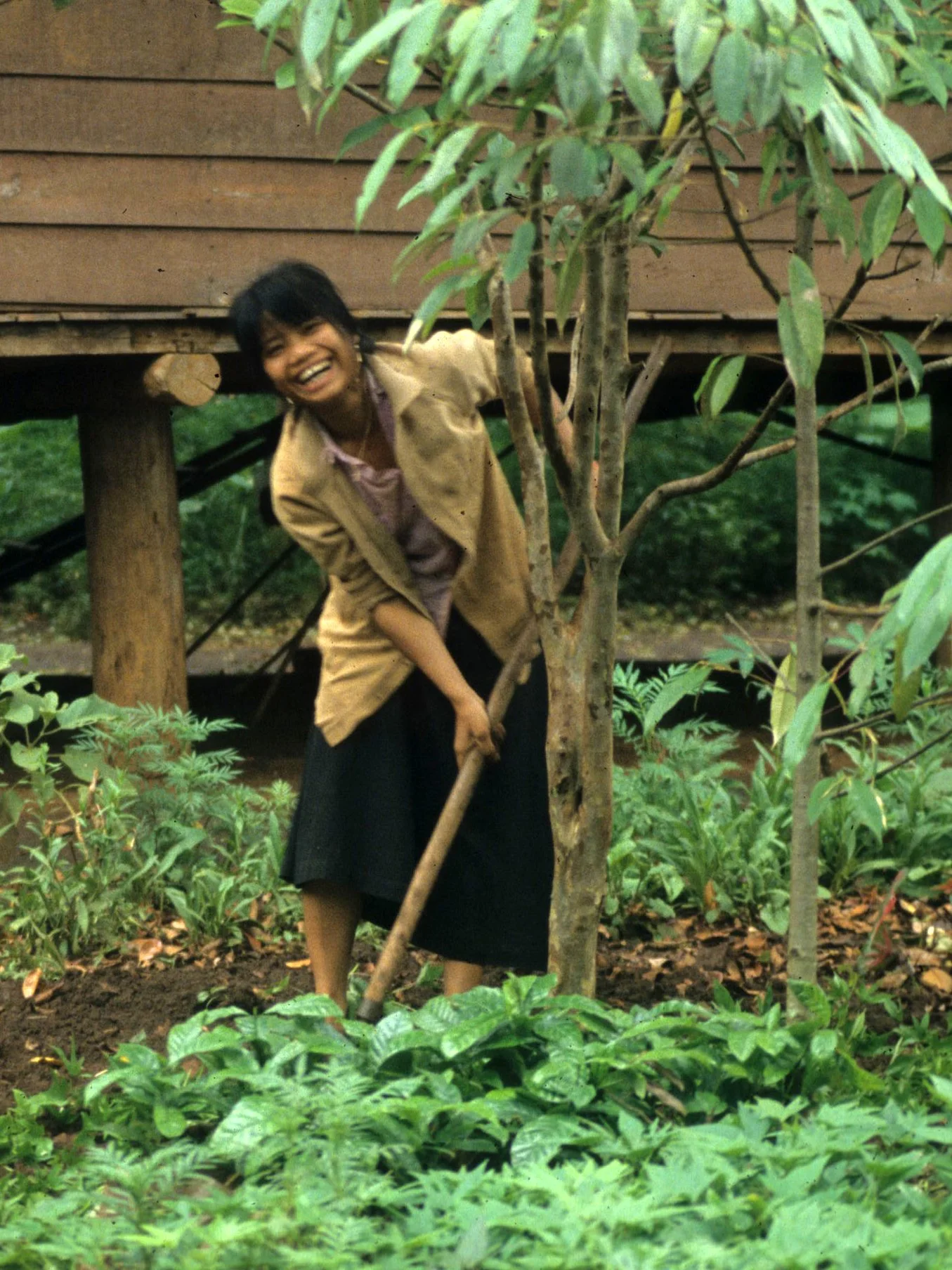 HILLTRIBE - ADAY HILL TRIBE NEAR BUNMETOUT O1.jpg