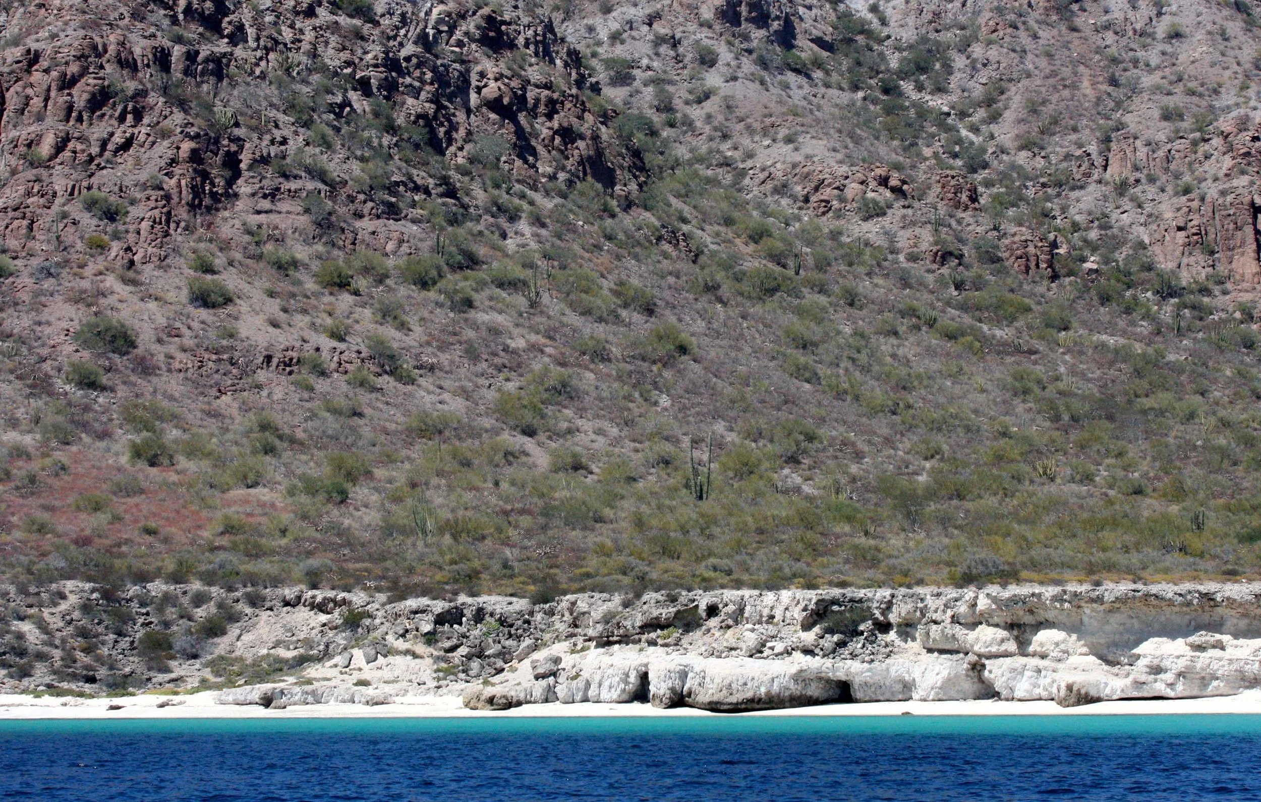 ISLA CARMEN - BAHIA DE LORETO MEXICO (3).JPG