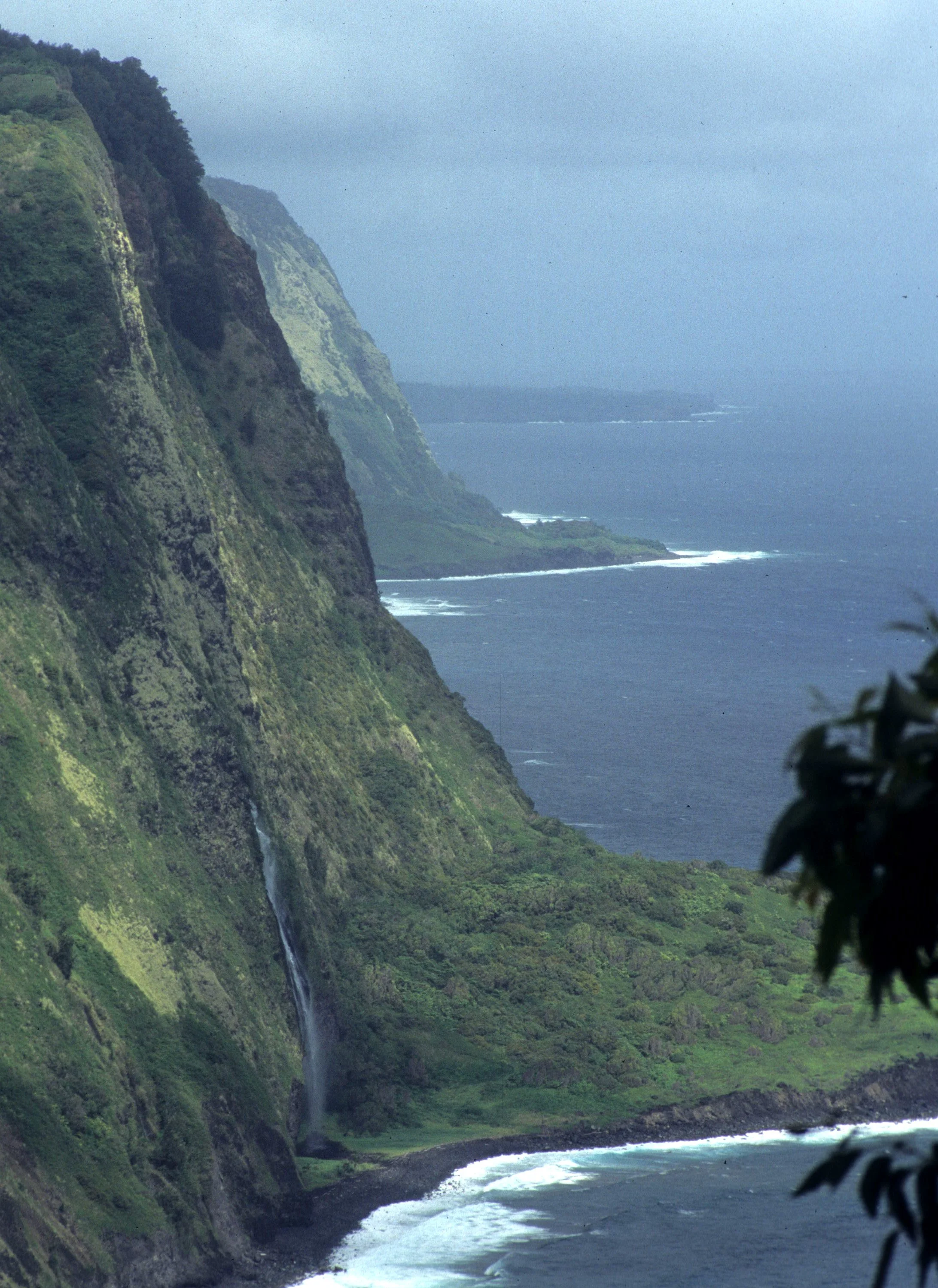 HAWAII - HAWAII - WAIPIO CANYON A.jpg
