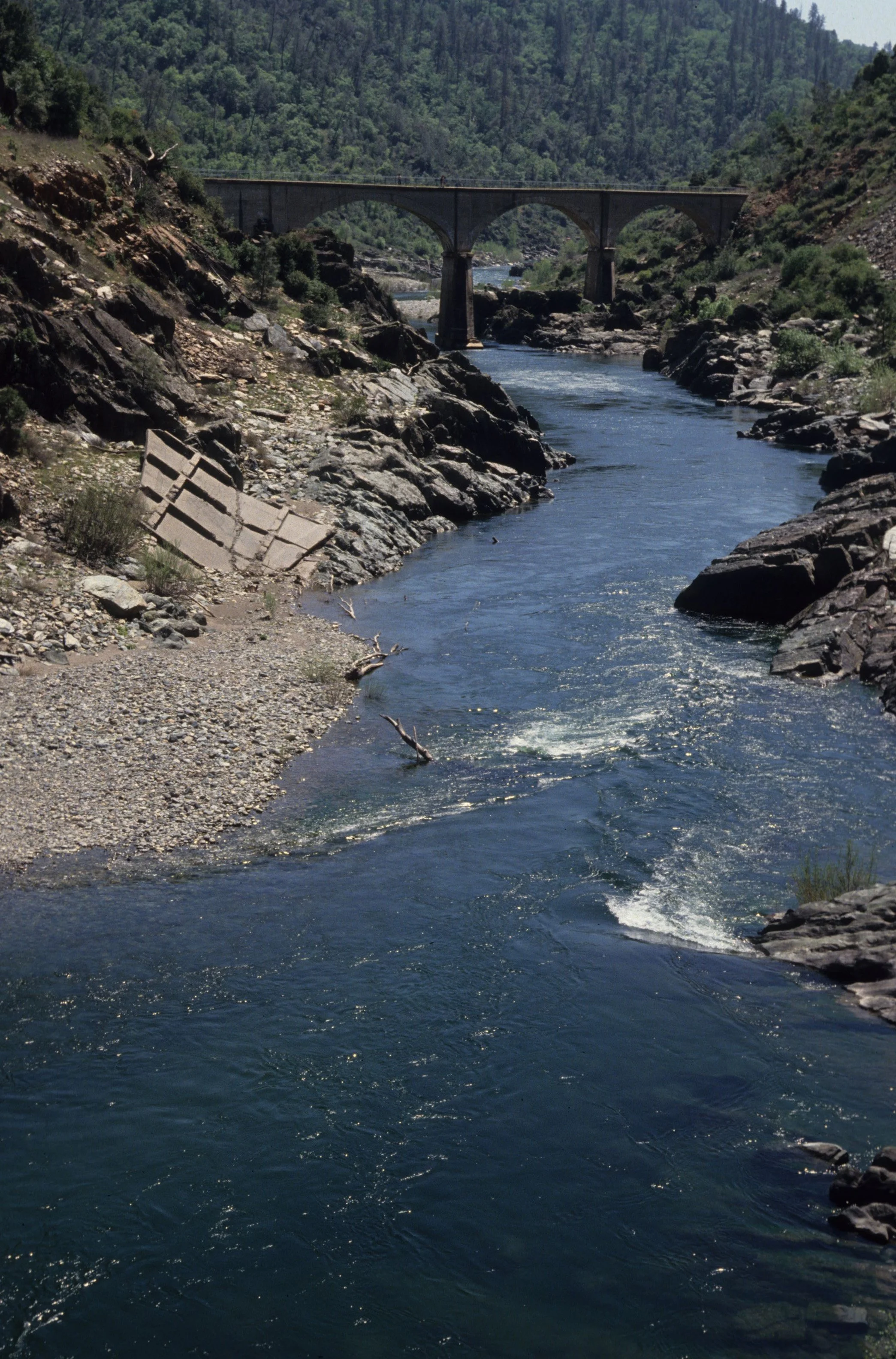 AMERICAN RIVER - SOUTH FORK.jpg