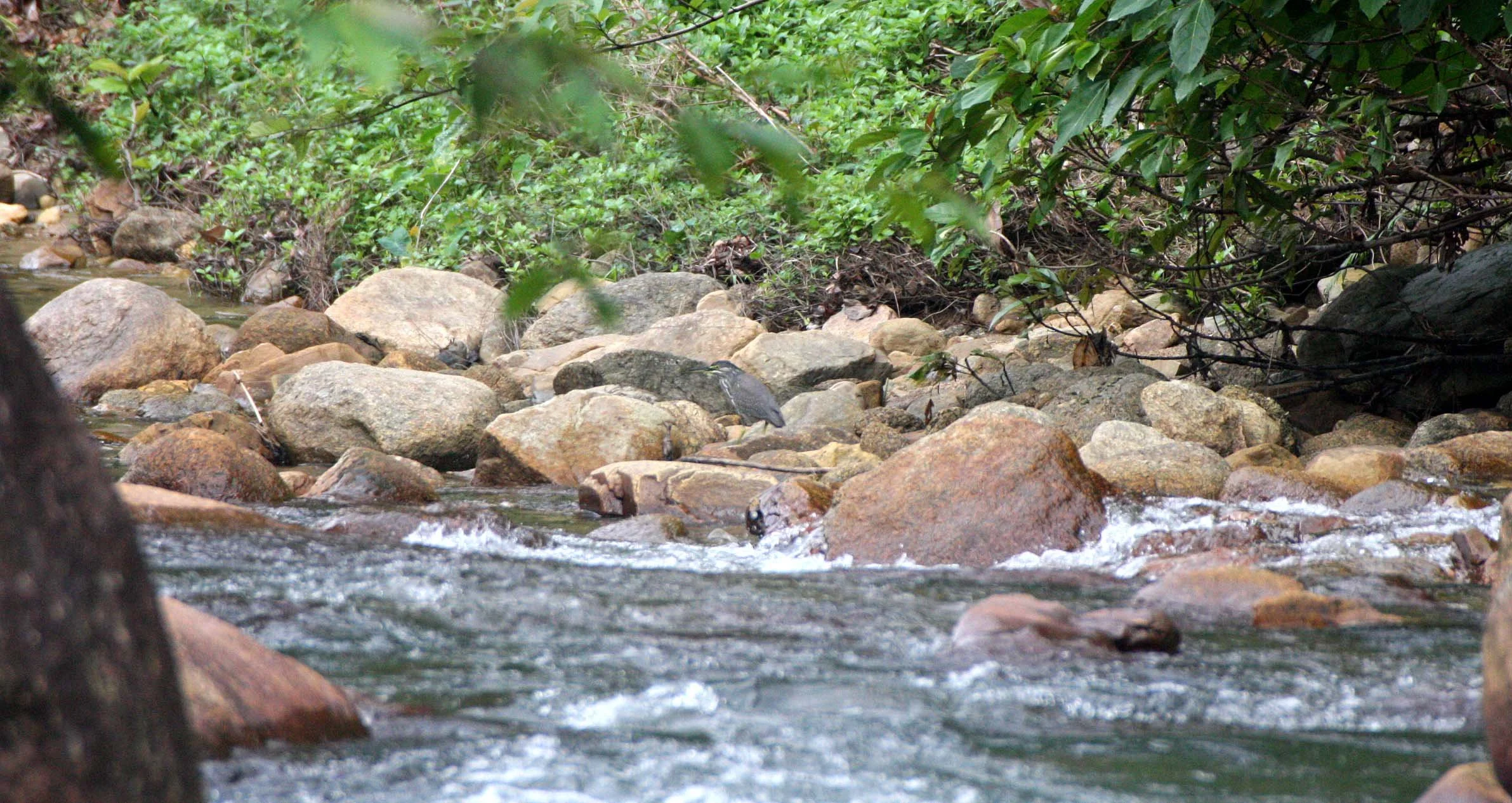 2009 Promluk Property Views (31).JPG