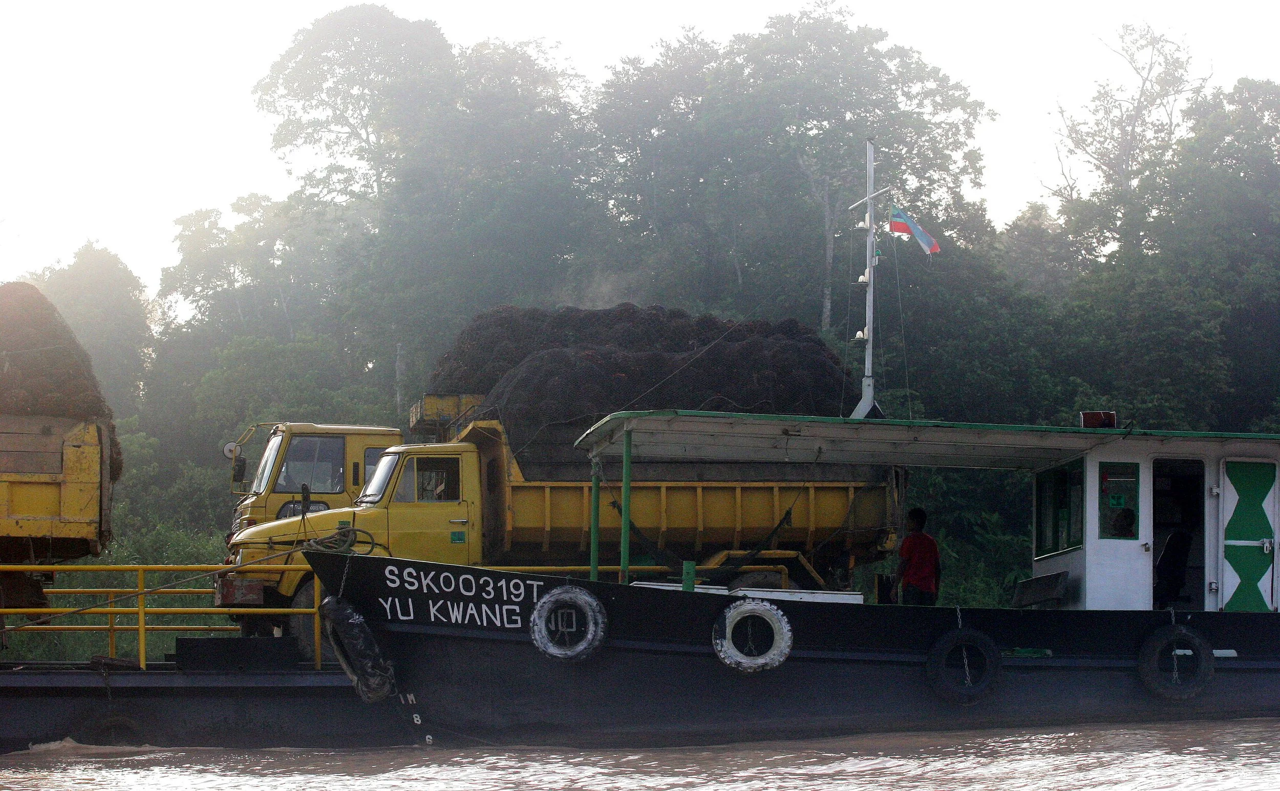 KINABATANGAN RIVER BORNEO - OIL PALM FRUIT RIVER TRANSPORT (4).JPG