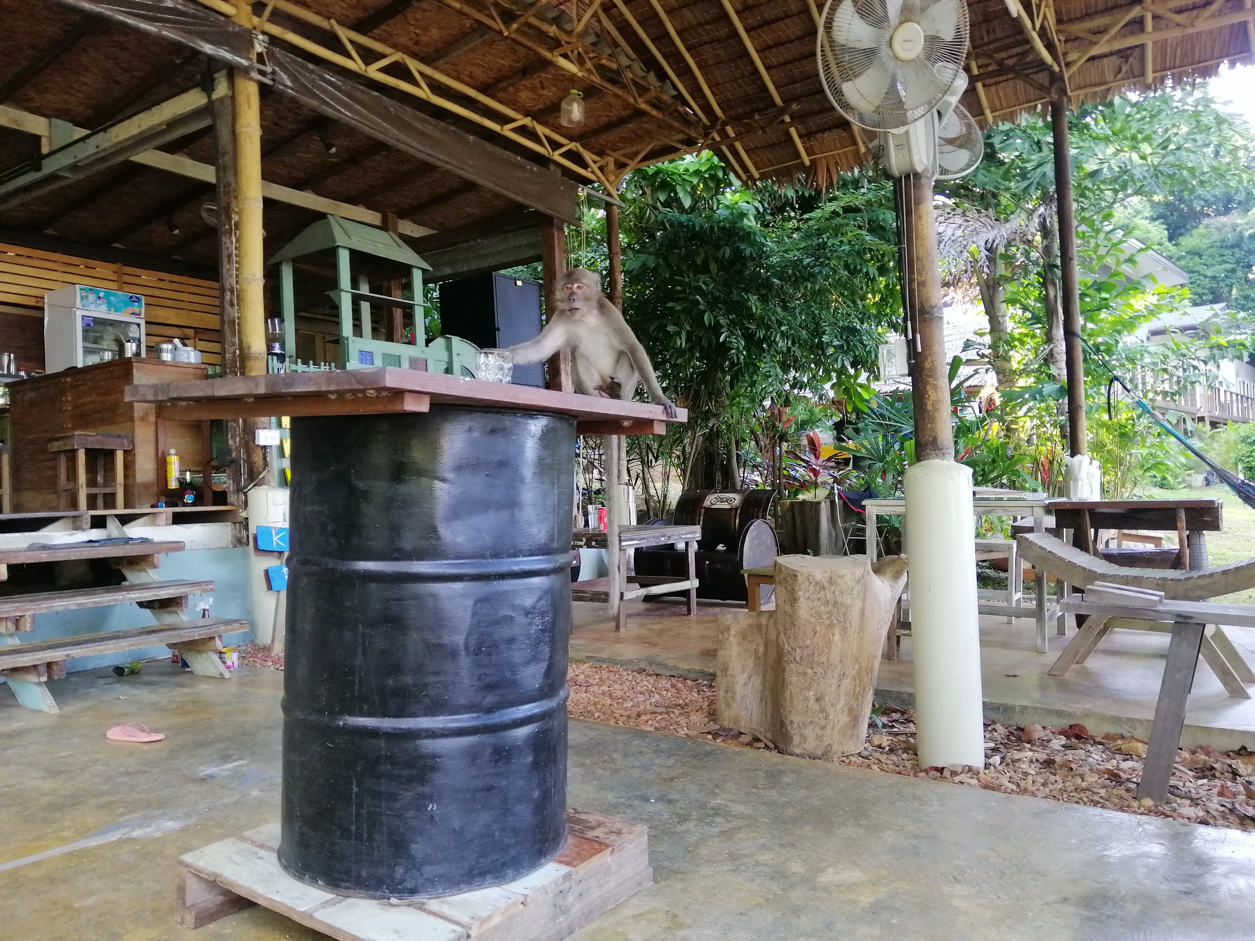 2019 Koh Lanta Summer Trip (8).jpg