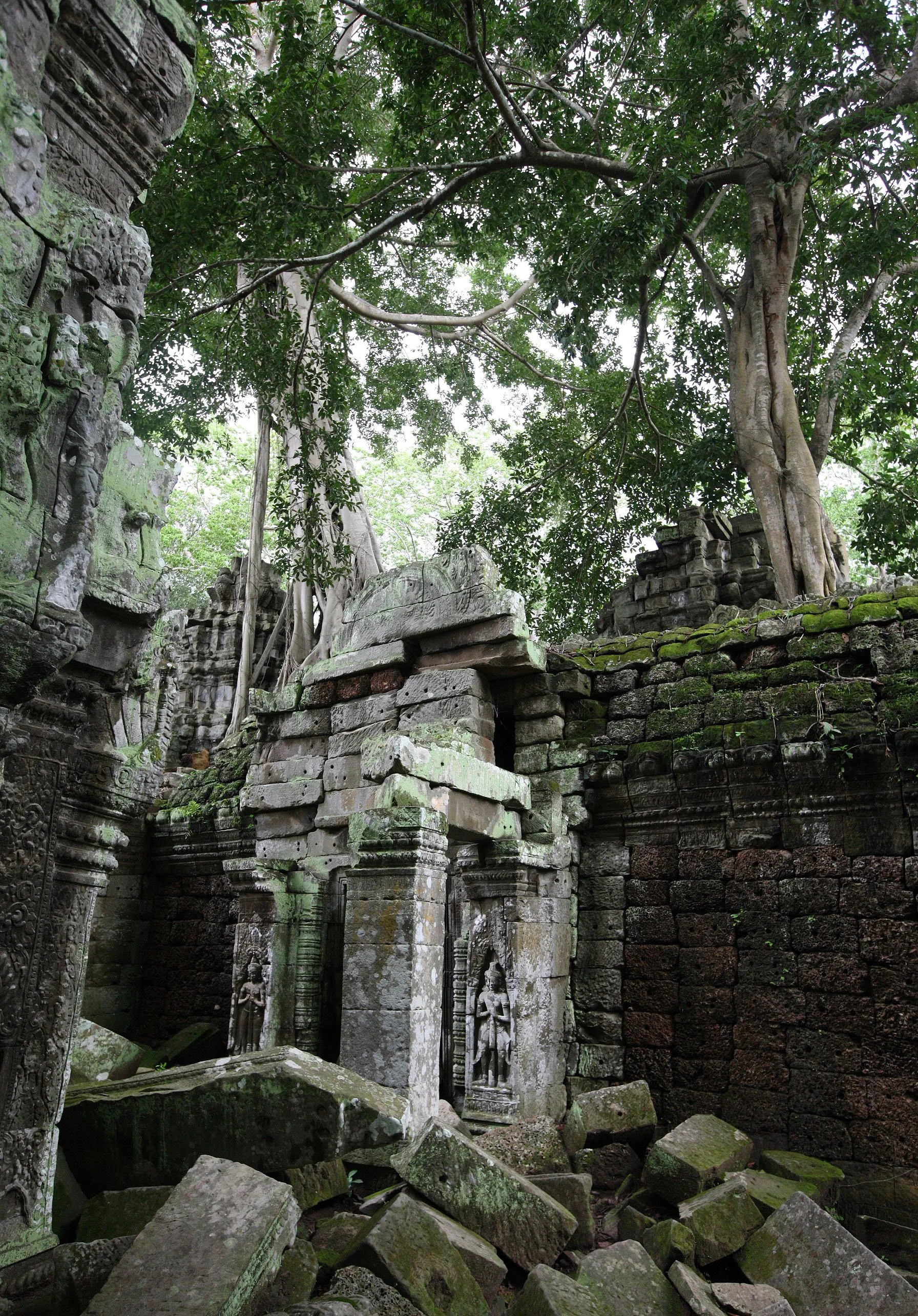 TA PROHM TEMPLE CAMBODIA - JULY 2010 (52).JPG