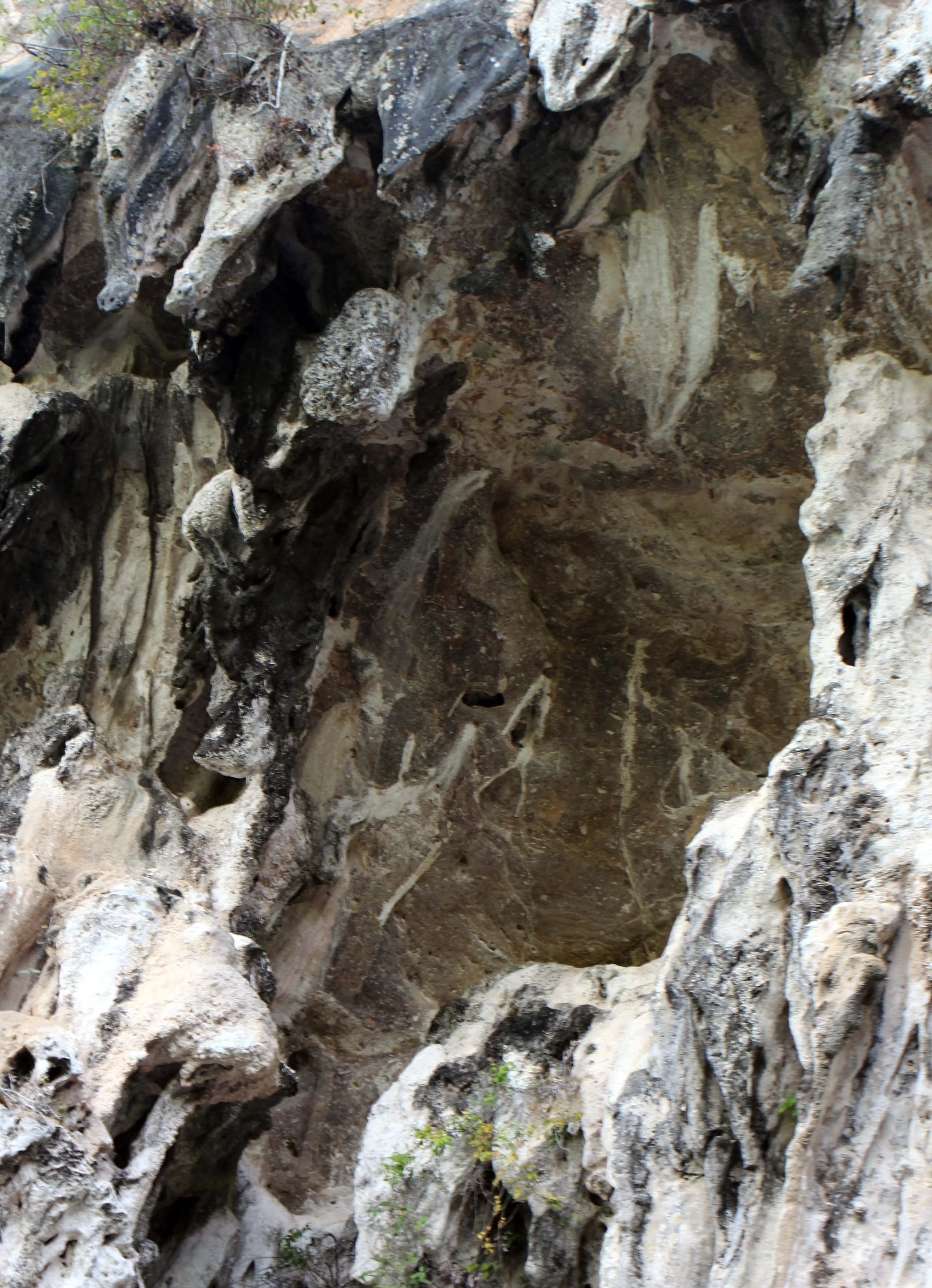 2014 ISB Trip to Khao Sok National Park Karos Island Ao Luek (28).JPG