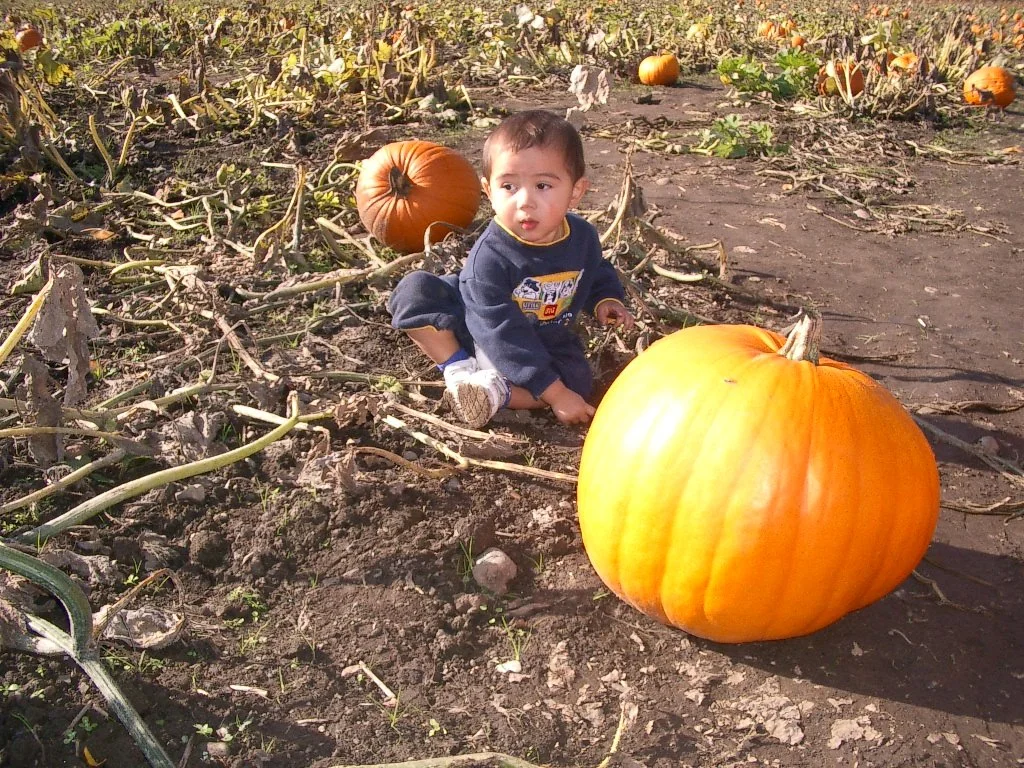 2003-10-26 PUMPKIN PATCH PORT ANGELES (19).JPG