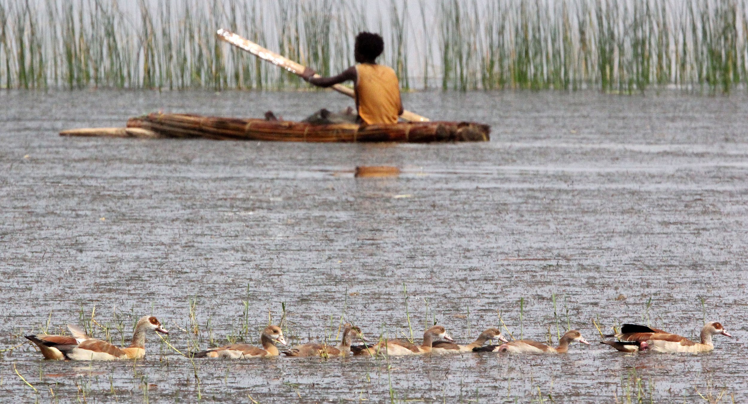 LANGANO LAKE ETHIOPIA (31).JPG