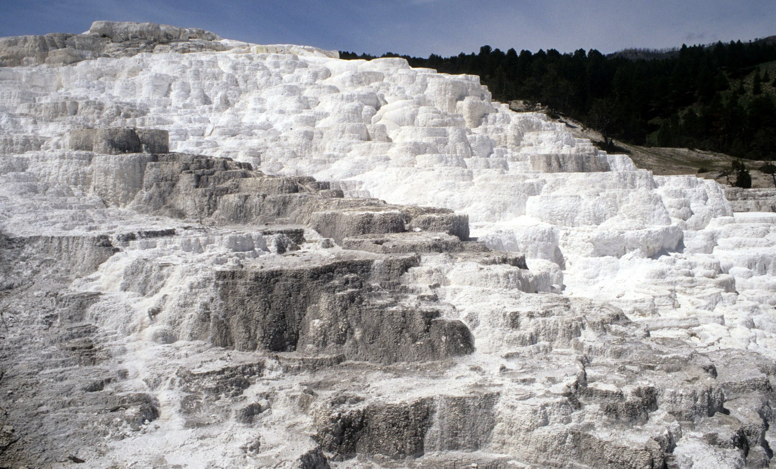 YELLOWSTONE - MAMMOTH HOTSPRINGS.jpg