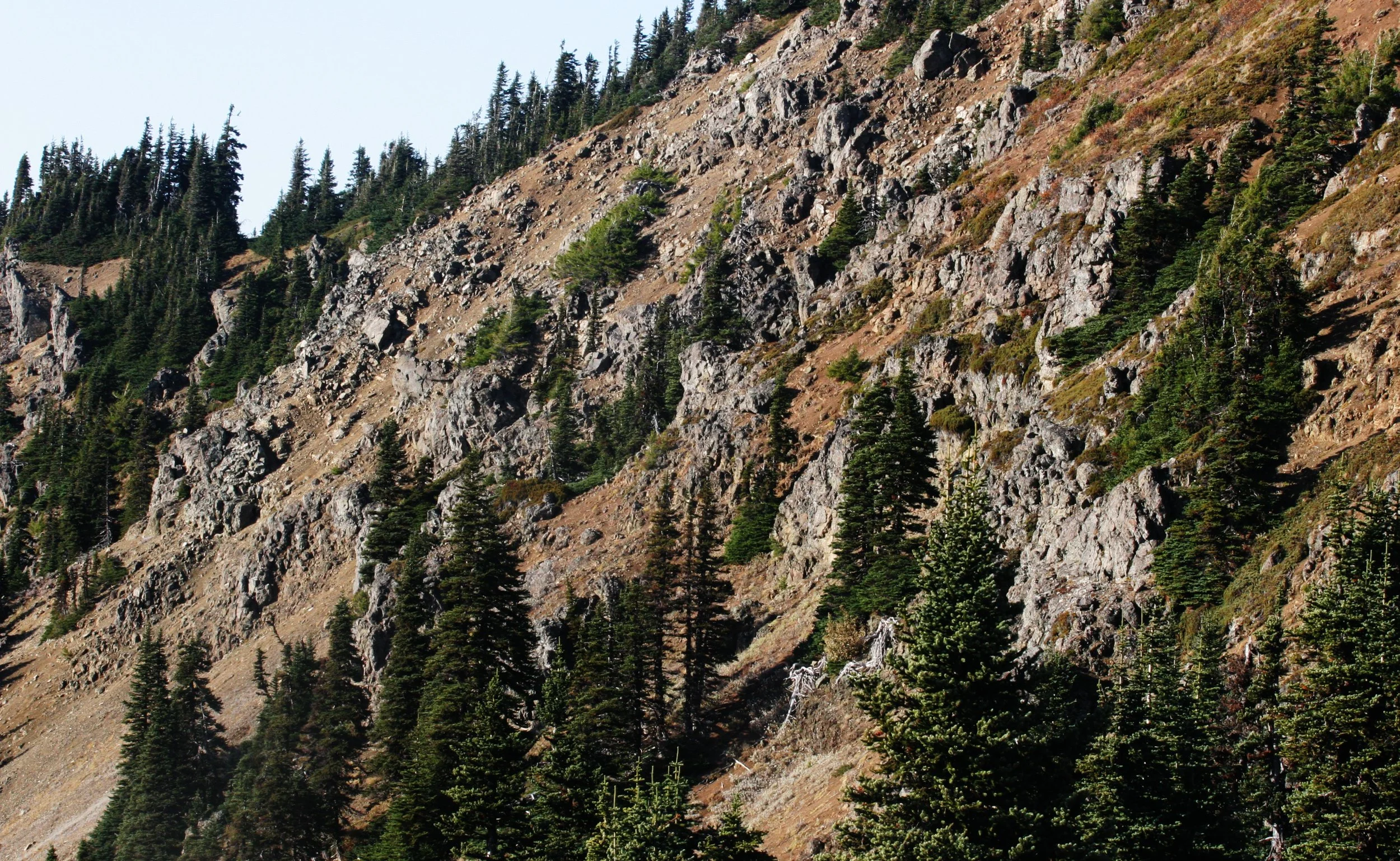 HURRICANE RIDGE - VIEWS OF PARK INTERIOR.JPG