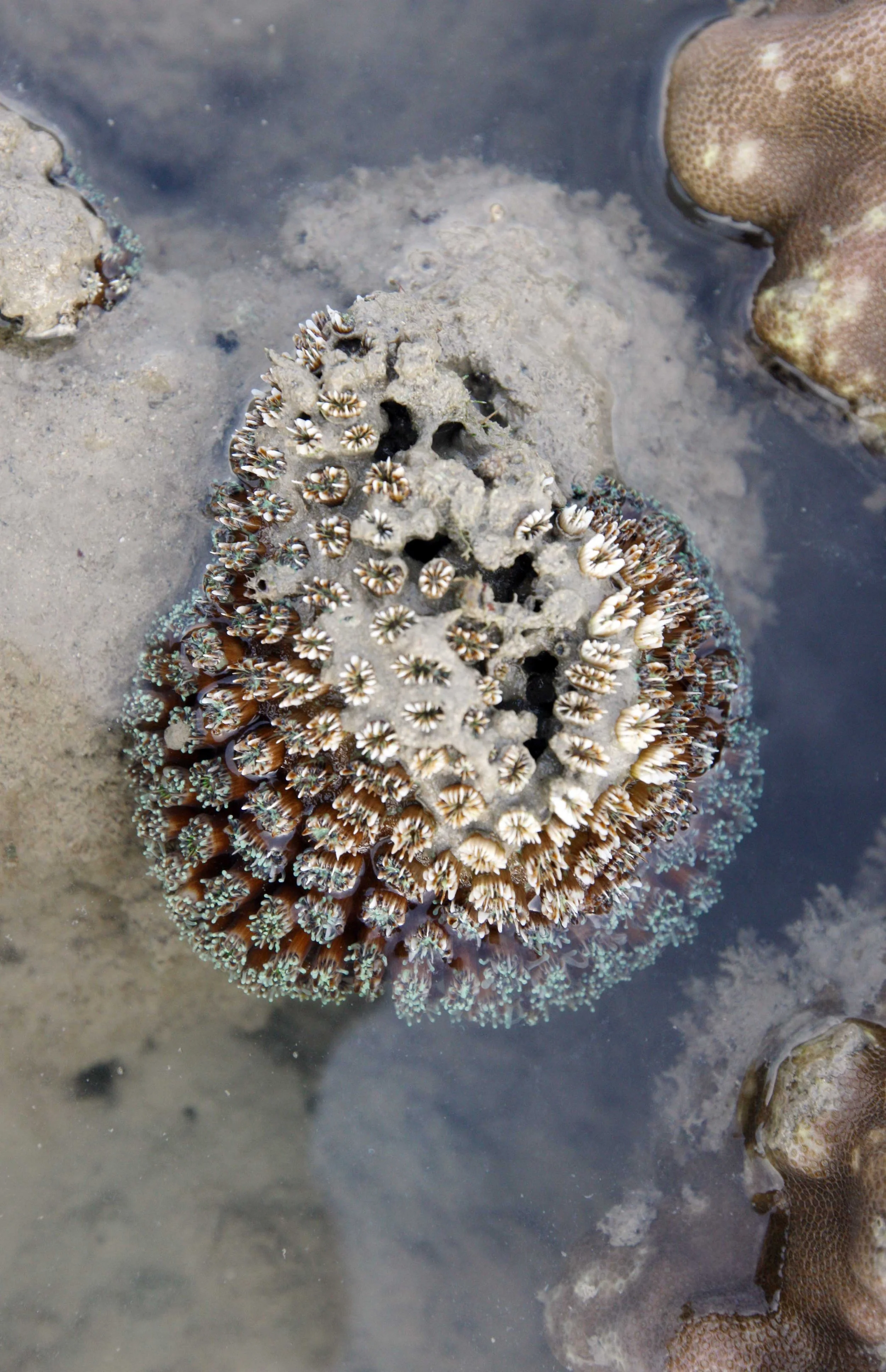 2015 Koh Lanta Songkran with friends from ISB (256).JPG