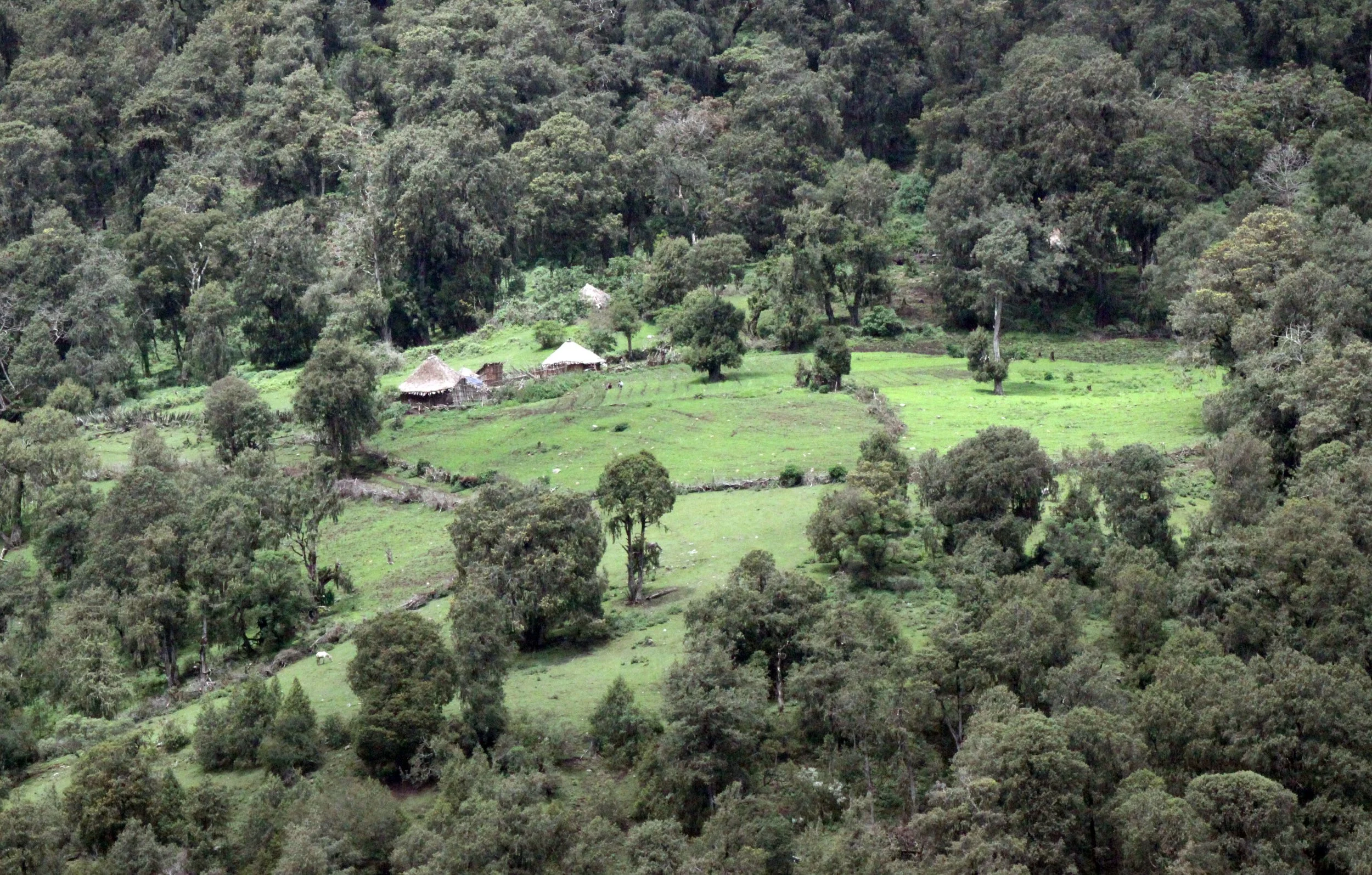 BALE MOUNTAINS NATIONAL PARK ETHIOPIA (14).JPG