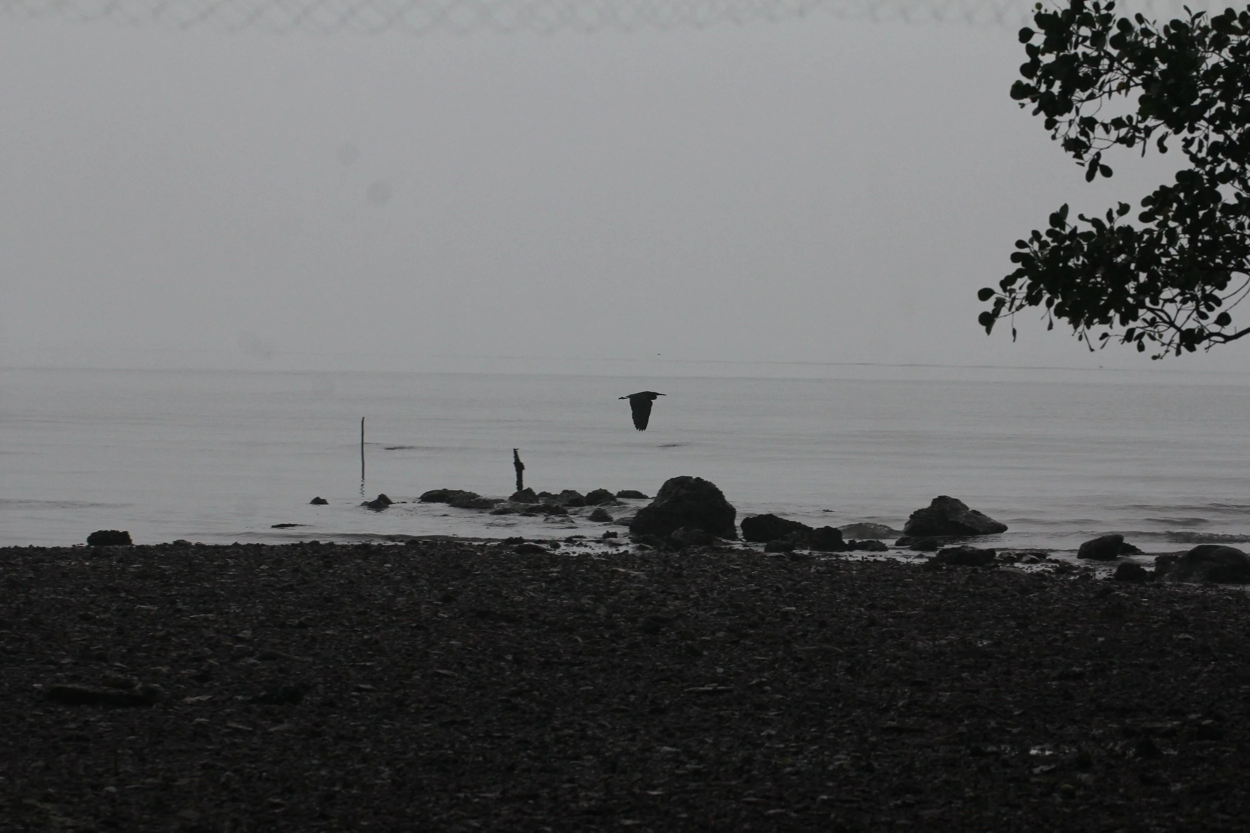 2015 Koh Lanta October Break Trip  (200).JPG