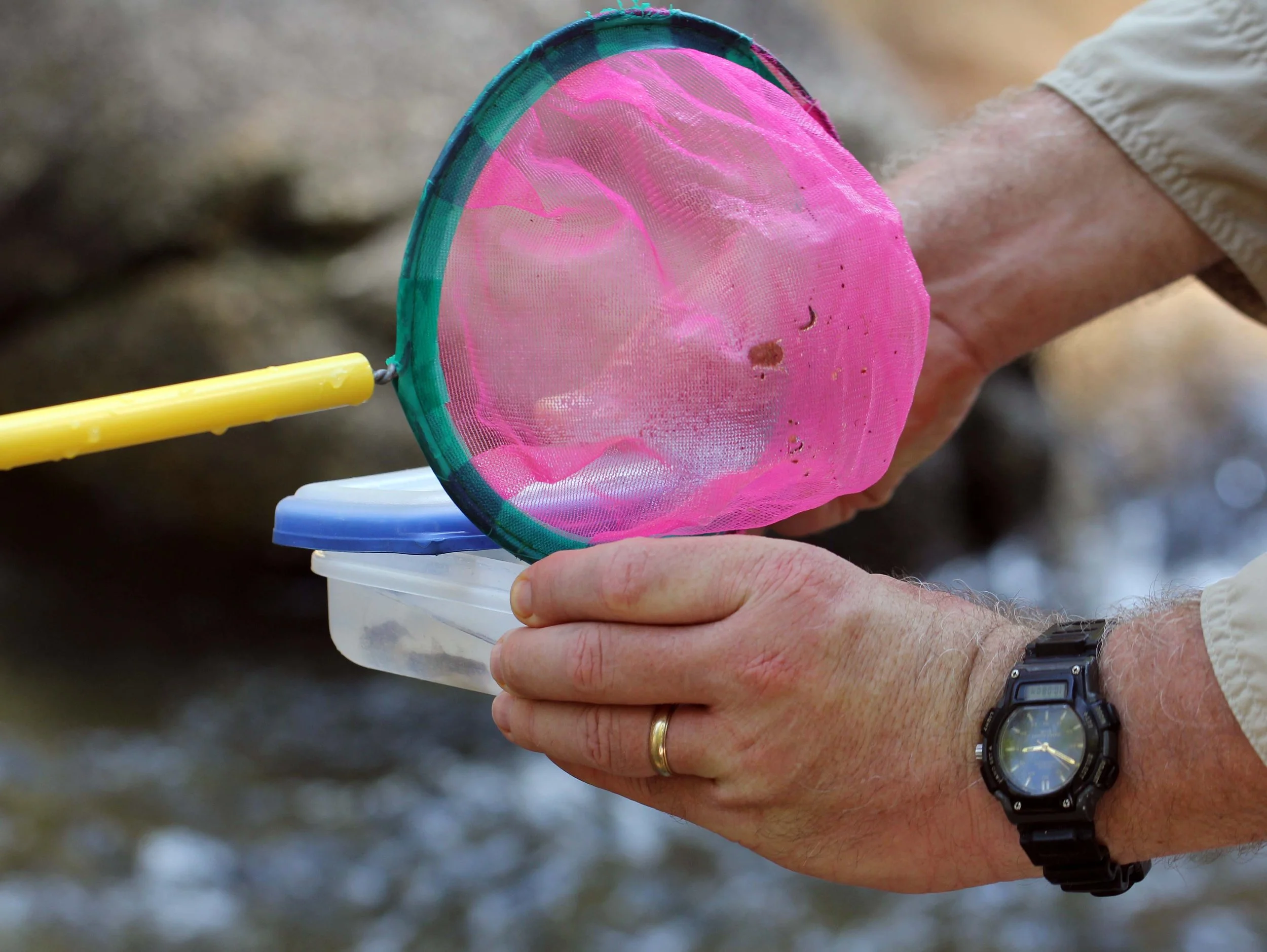 2014 ISB Trip to Tonte Falls in Trang (70).JPG