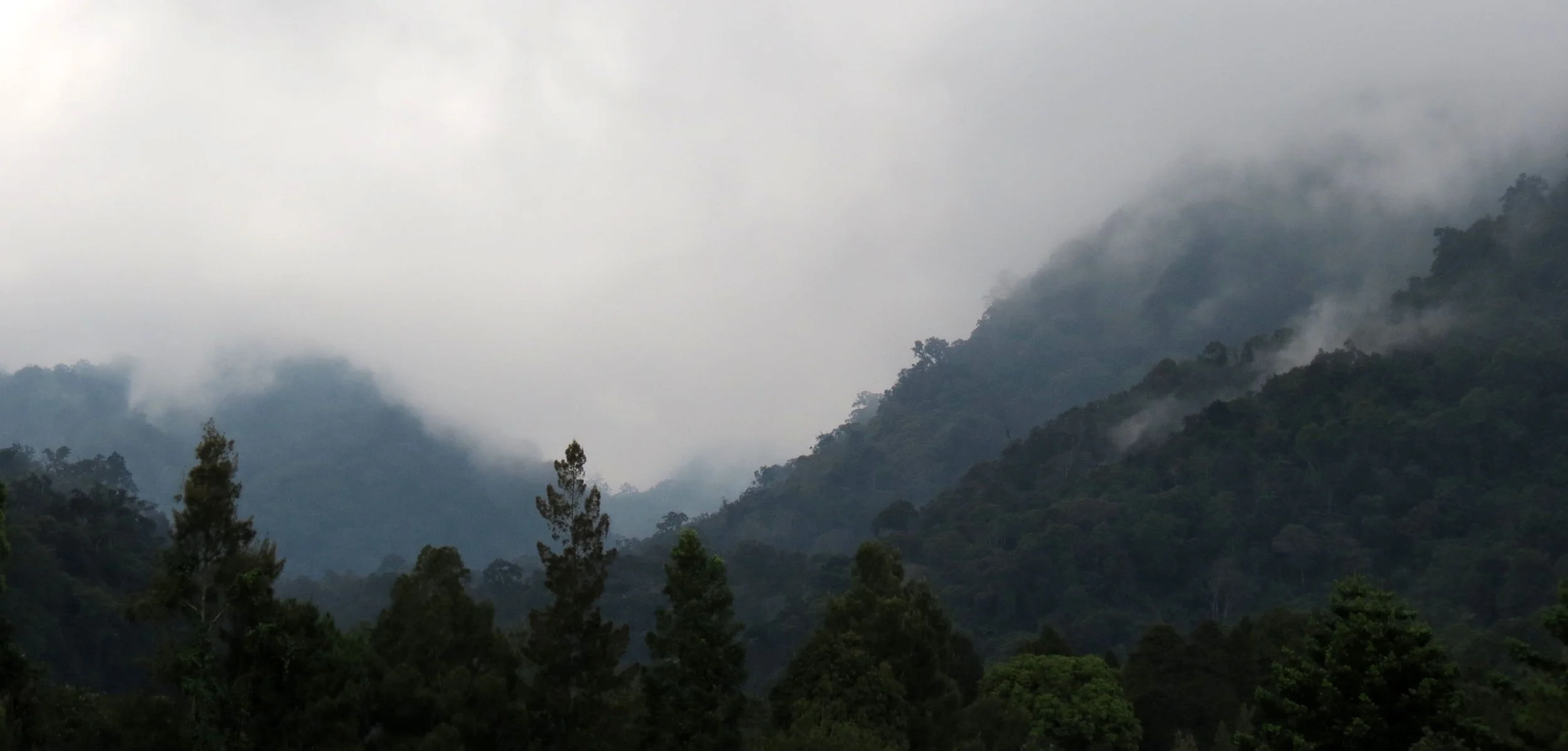 GEDE NATIONAL PARK - JAVA BARAT INDONESIA (35).JPG