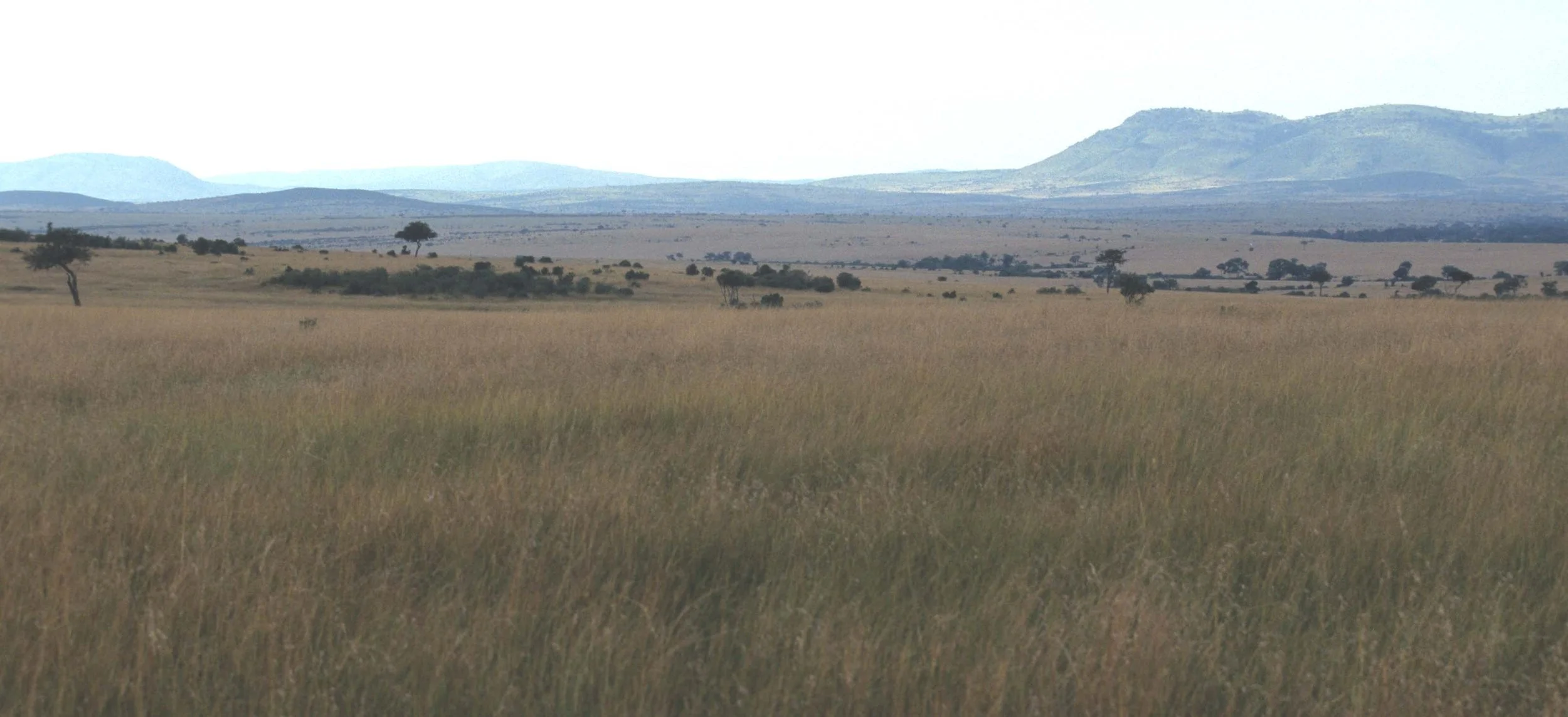 SERENGETI RIFT VALLEY.jpg
