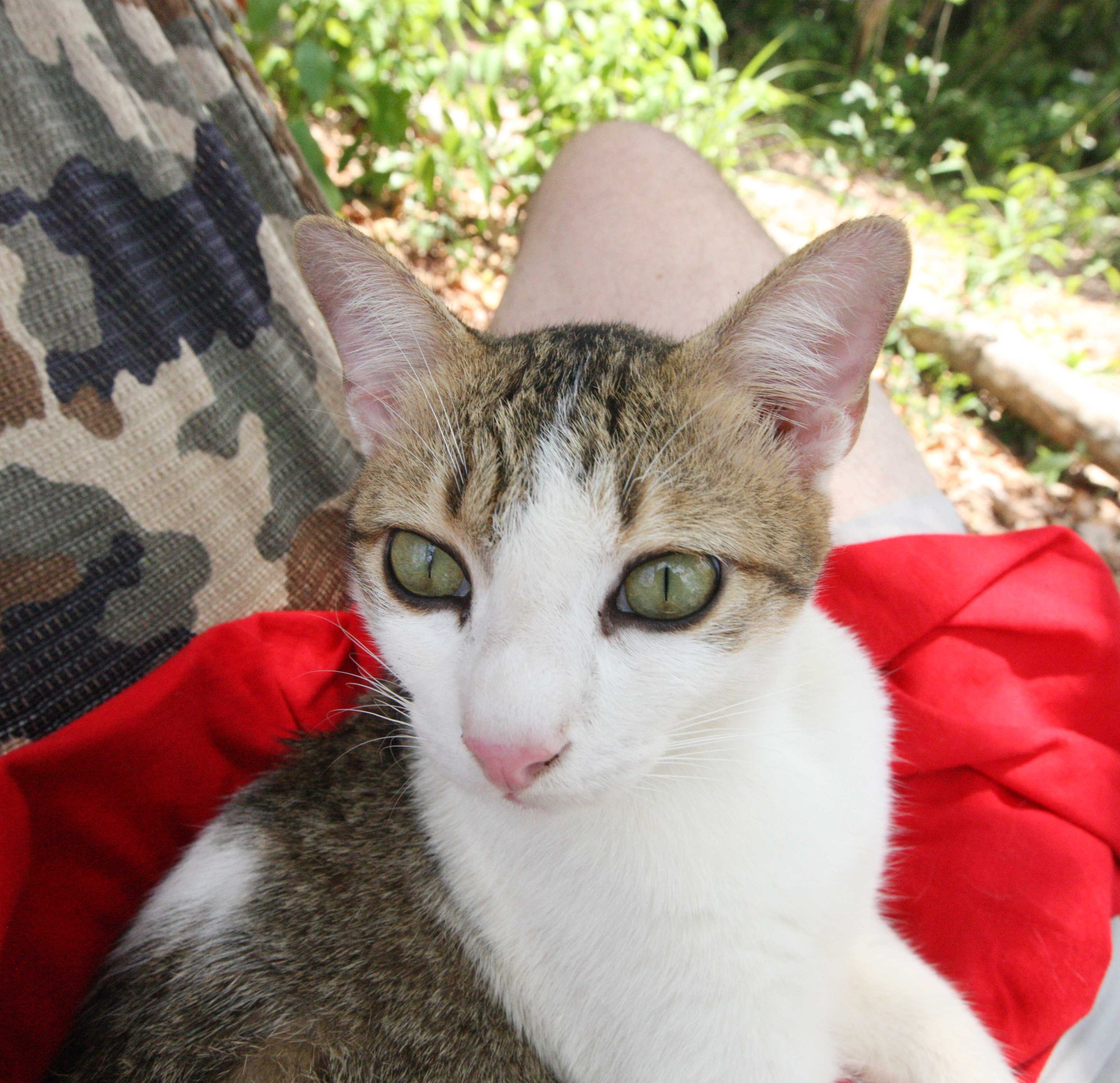 2015 Koh Lanta Songkran with friends from ISB (276).JPG