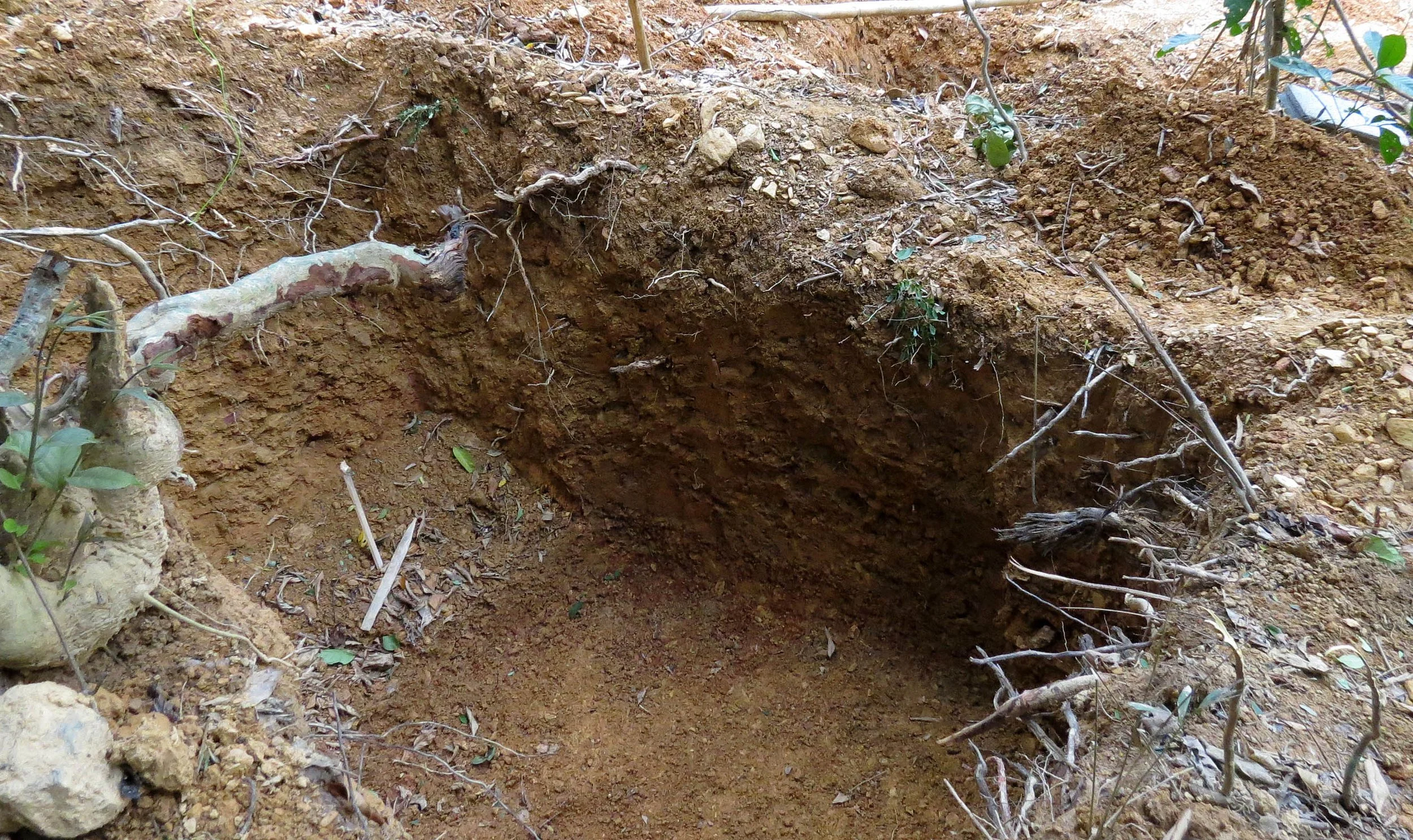 2014 Koh Lanta Build (112).JPG