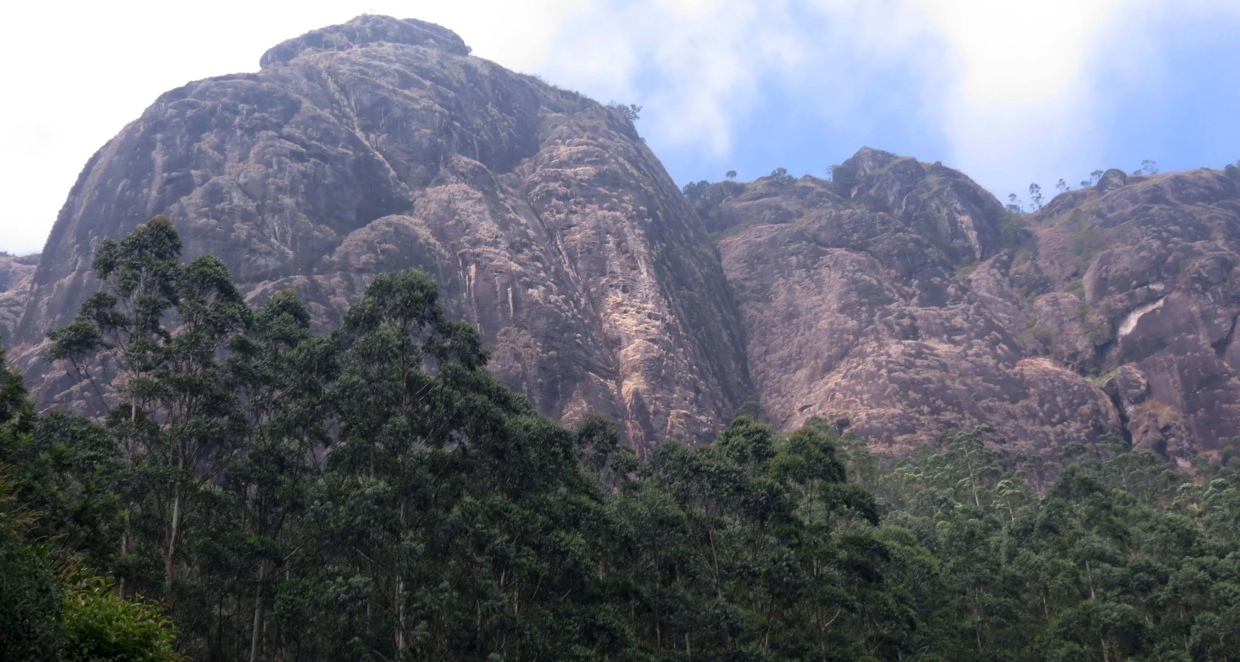 PAMPADUM SHOLA NATIONAL PARK INDIA - VATTAVADA (2).JPG