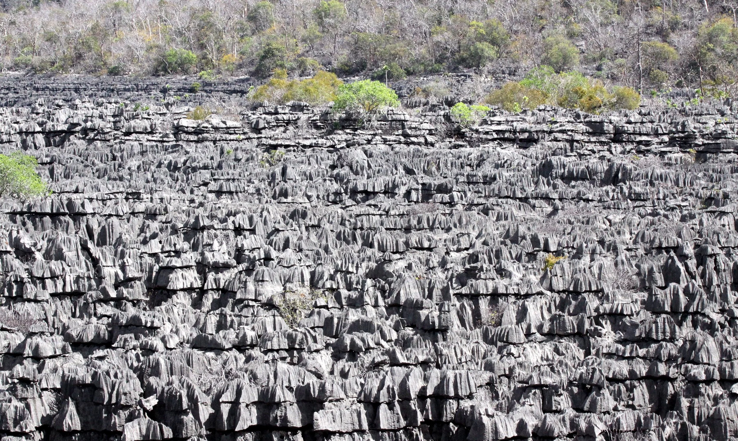 ANKARANA NATIONAL PARK MADAGASCAR - TSINGY FOREST (24).JPG
