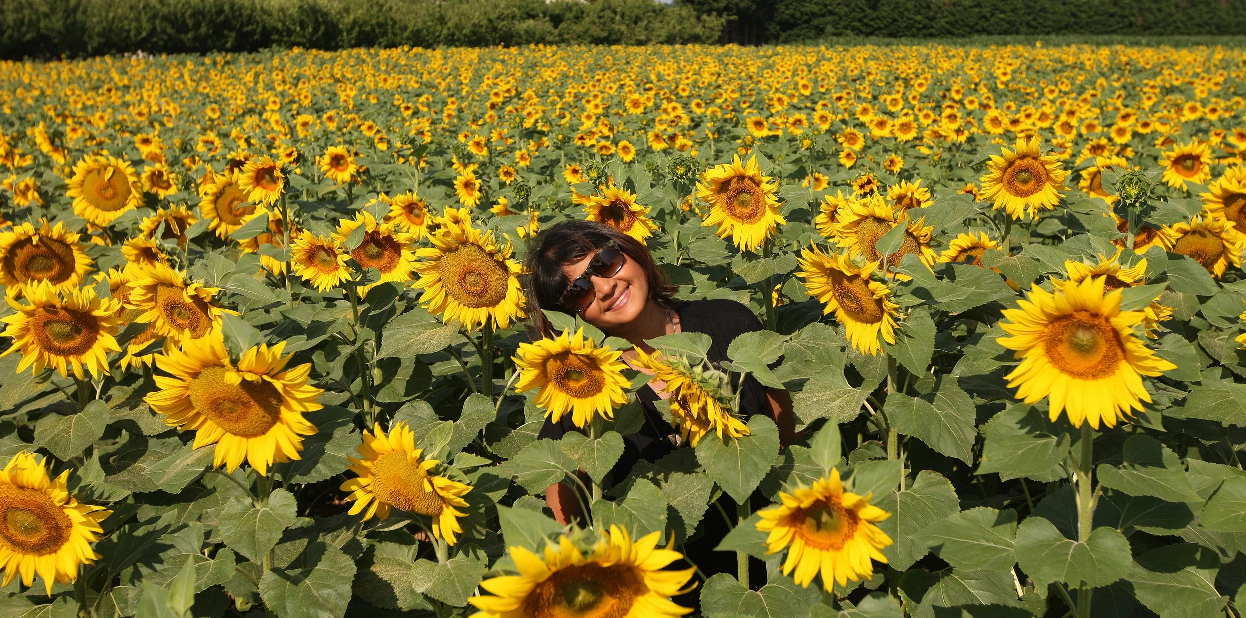 VERCORS NATIONAL PARK FRANCE (72).JPG