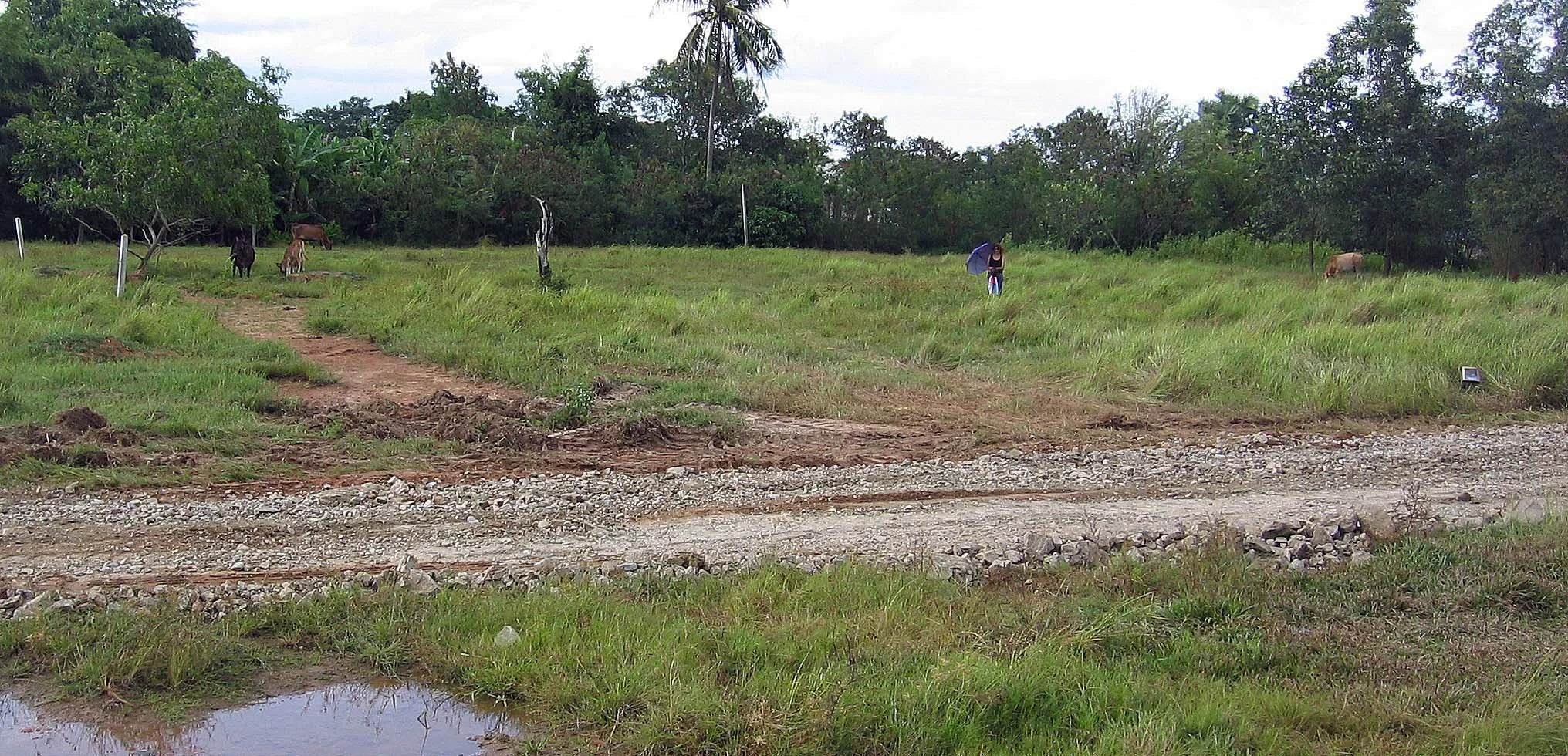 2005 Nakhonsithammarat Property near Tesco (16).JPG