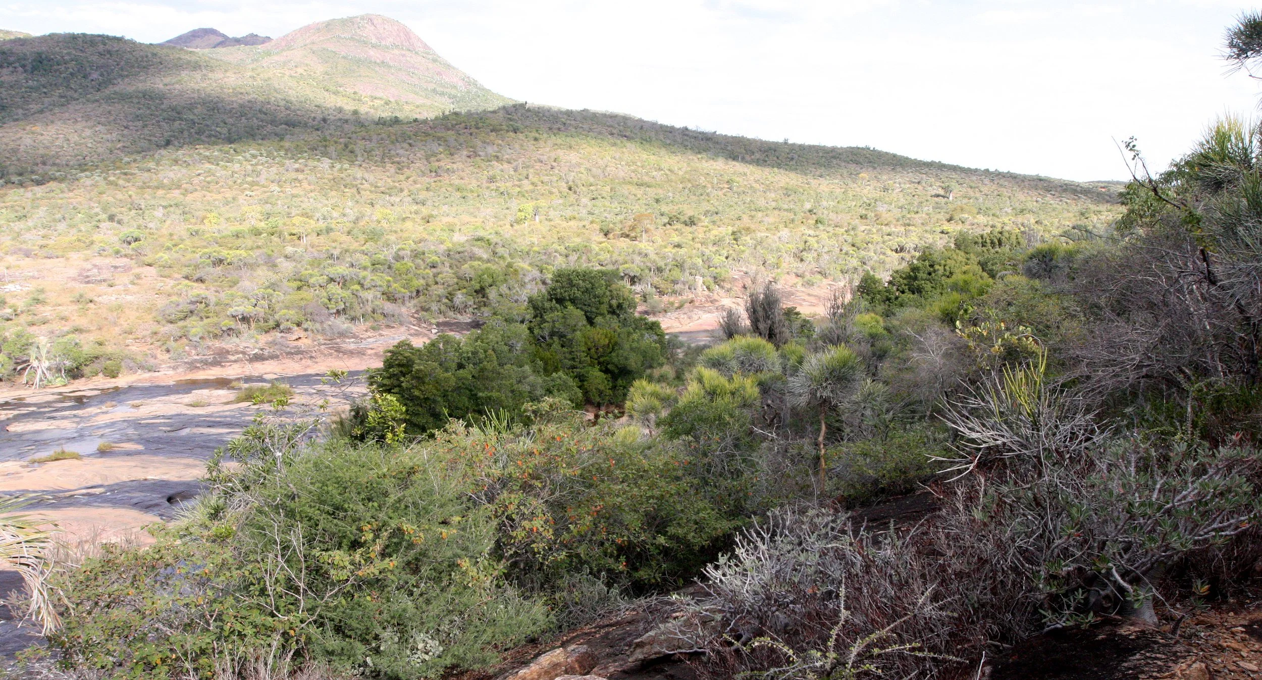 ANDOHAHELA NATIONAL PARK MADGASCAR - VIEWS OF THE REGION (8).JPG