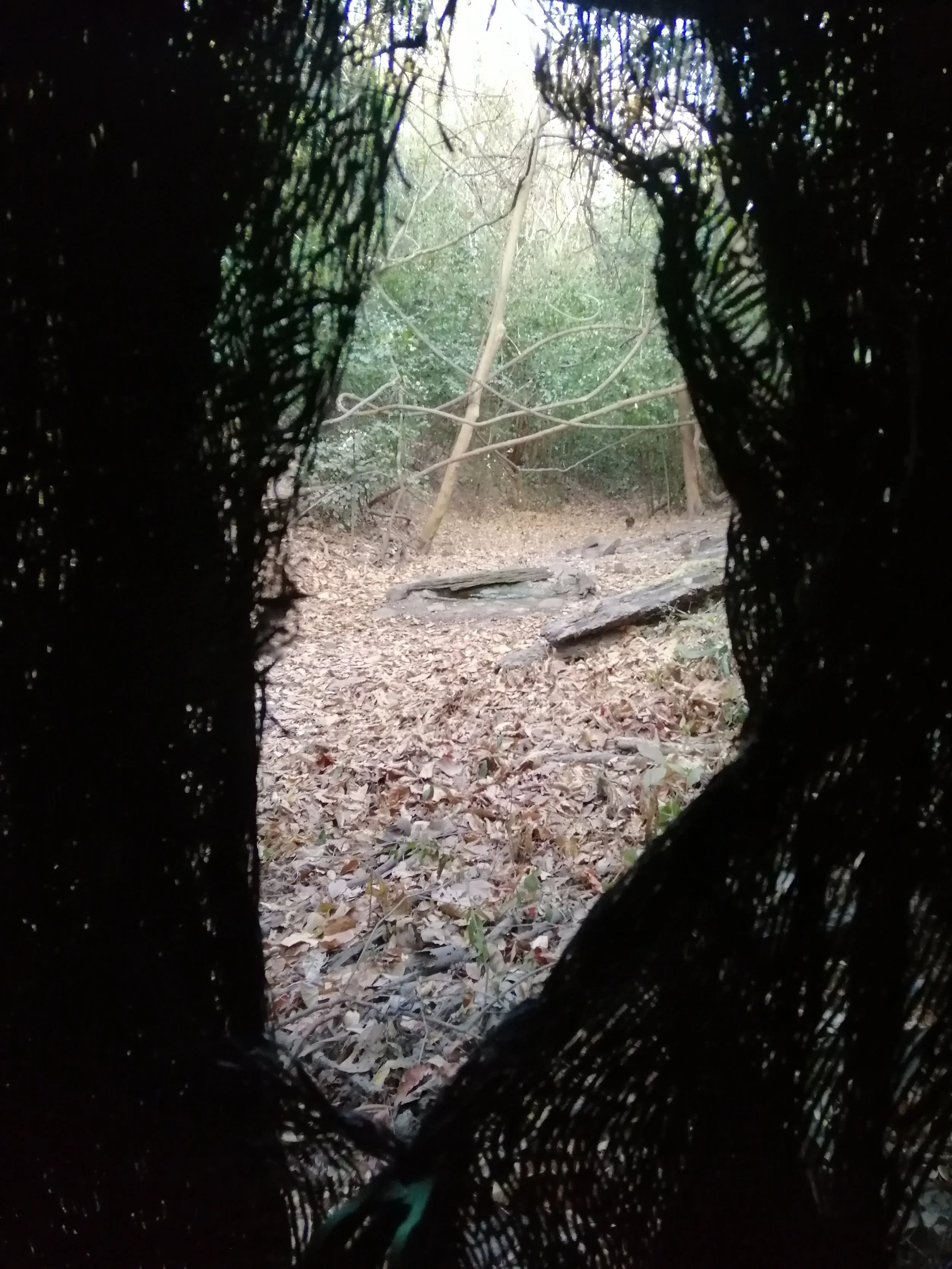 2020 Kaeng Krachan Petchaburi Bird Hide Blind (8).jpg
