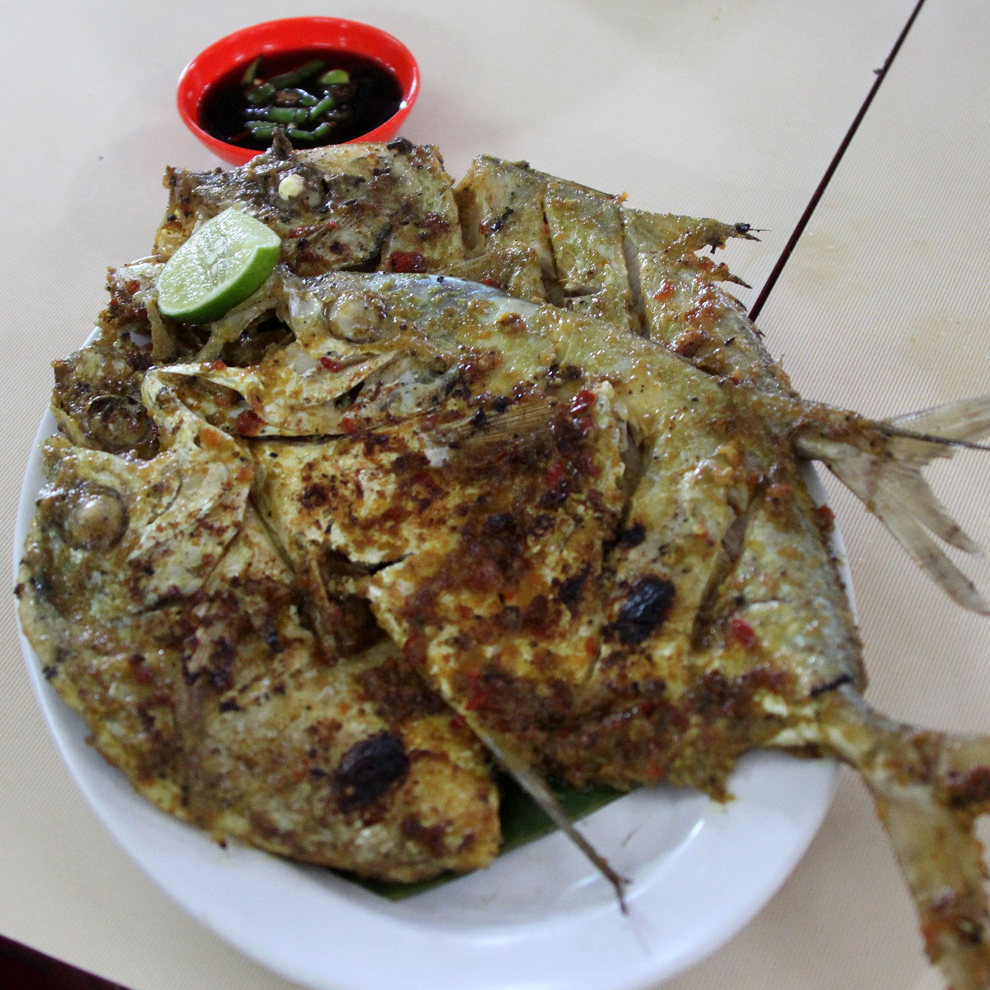 CARITA BEACH AREA - JAVA BARAT INDONESIA (10).JPG