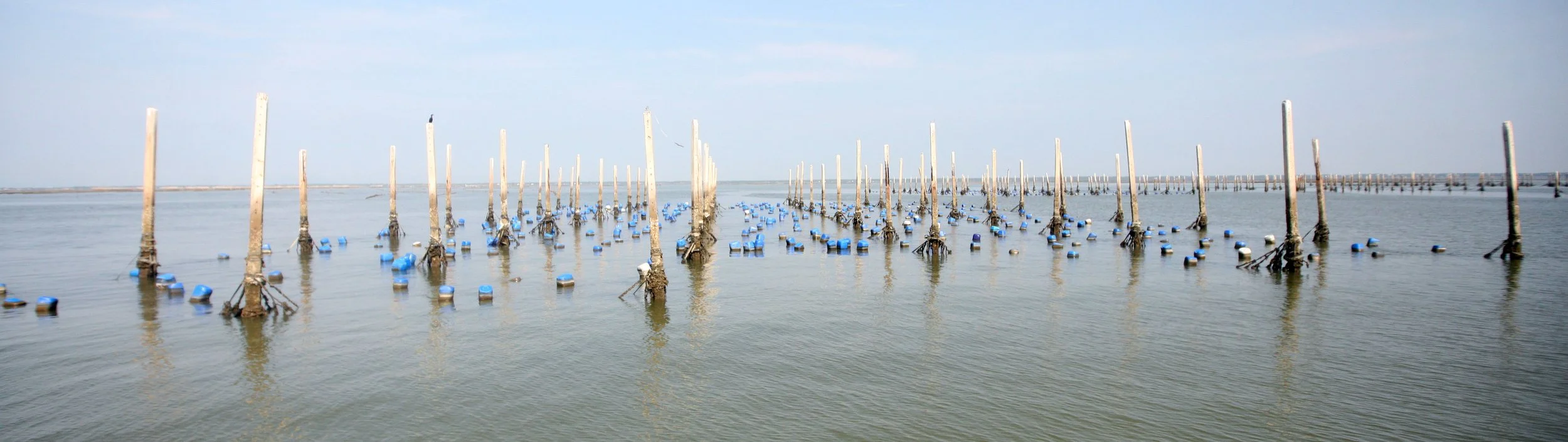 2014 Amphawa Trip to See Whales from Baan Taboon (69).JPG