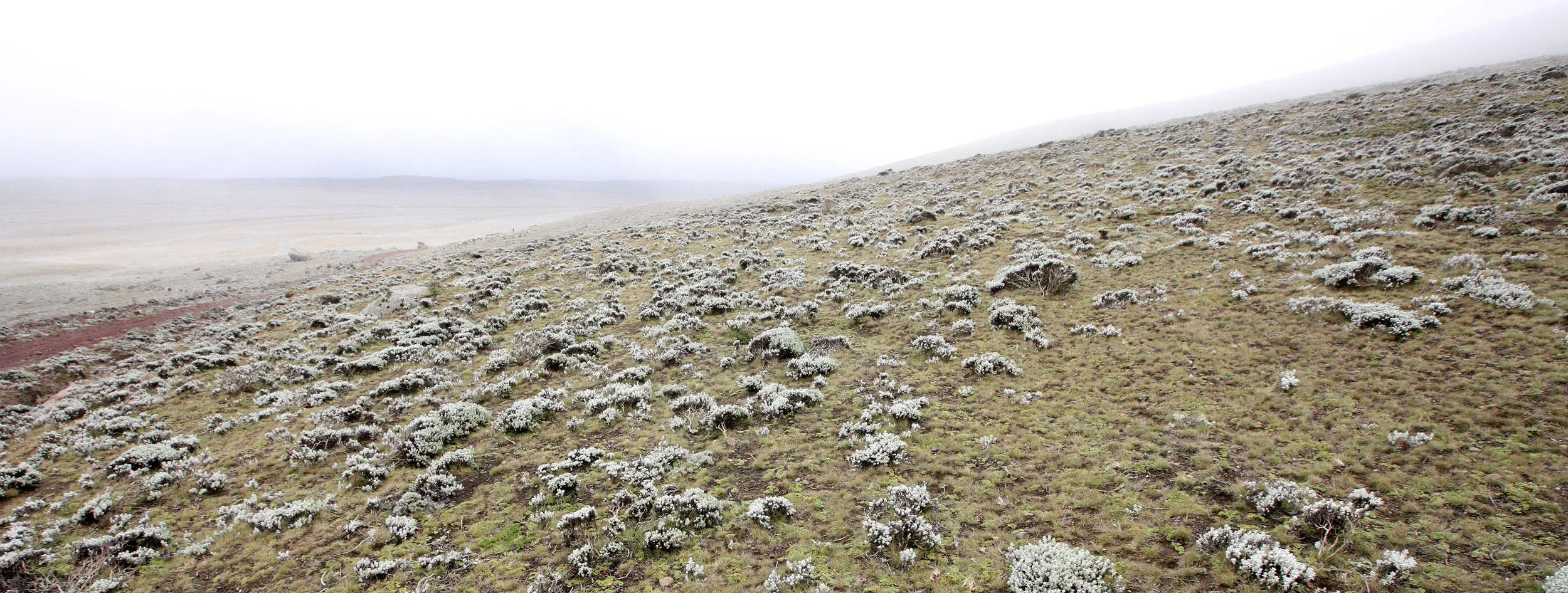 BALE MOUNTAINS NATIONAL PARK ETHIOPIA - SANETTI PLATEAU (5).JPG