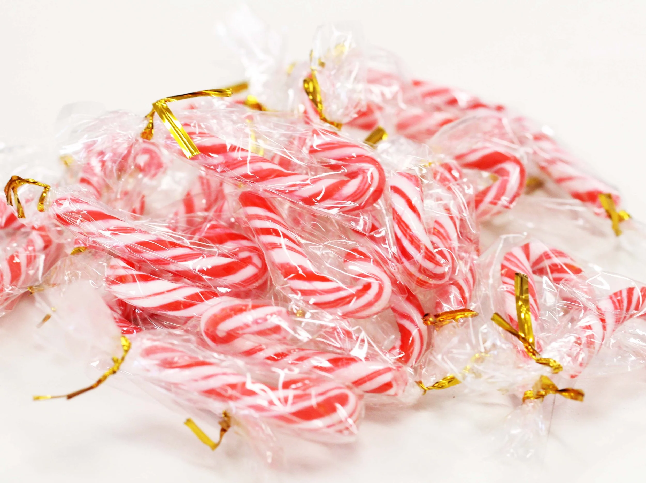 2013 Christmas Time at ISB (5).JPG