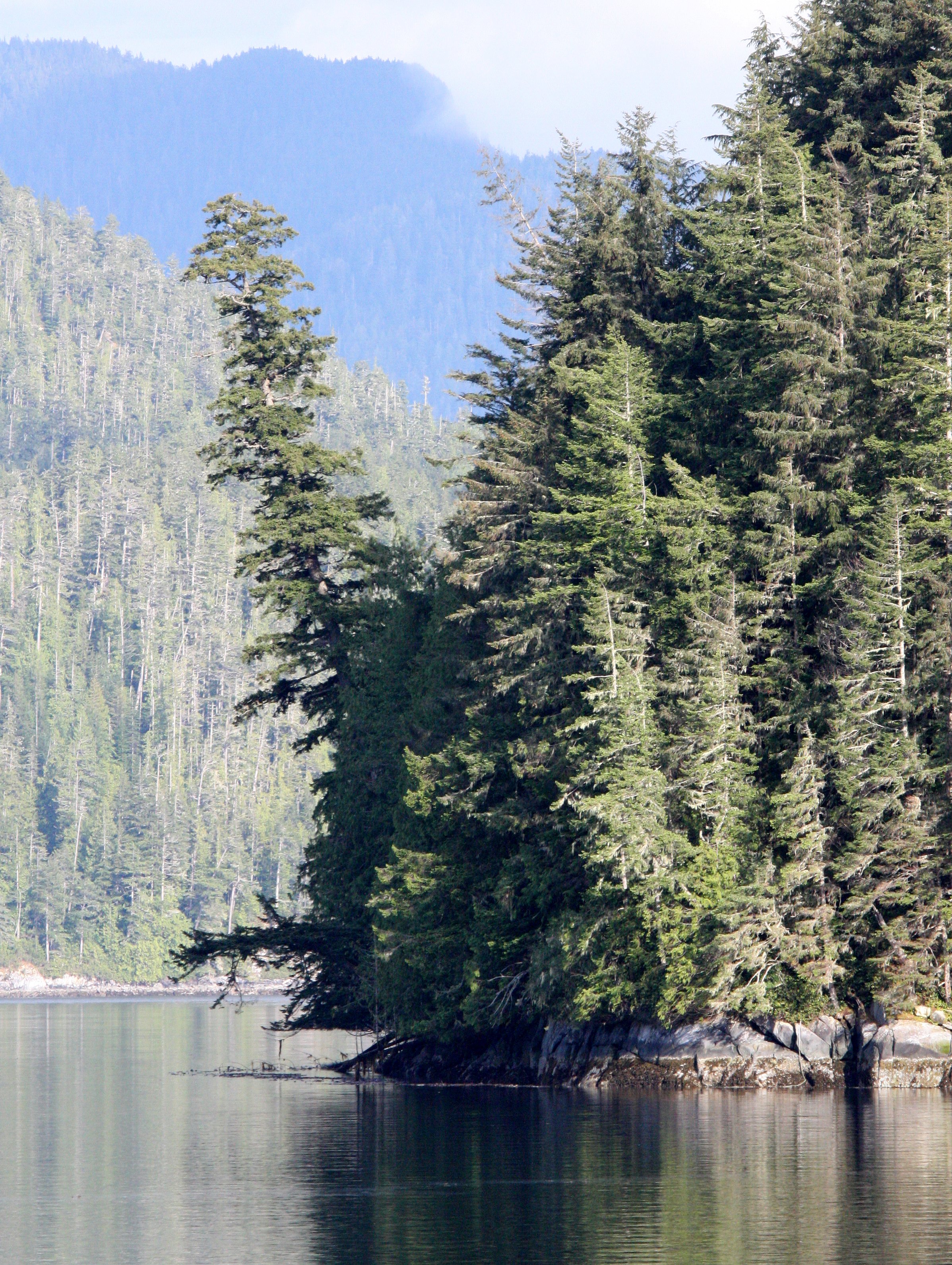 KNIGHT'S INLET BRITISH COLUMBIA (36).JPG