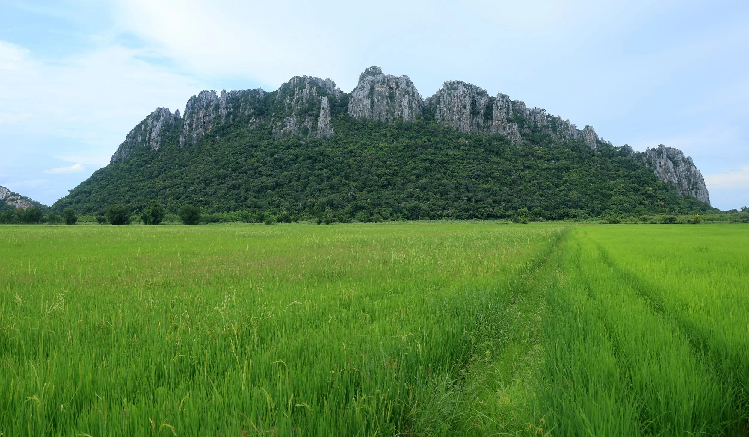 Khao Nor Khao Kaew Bat Viewing Nakhon Sawan (37).jpg