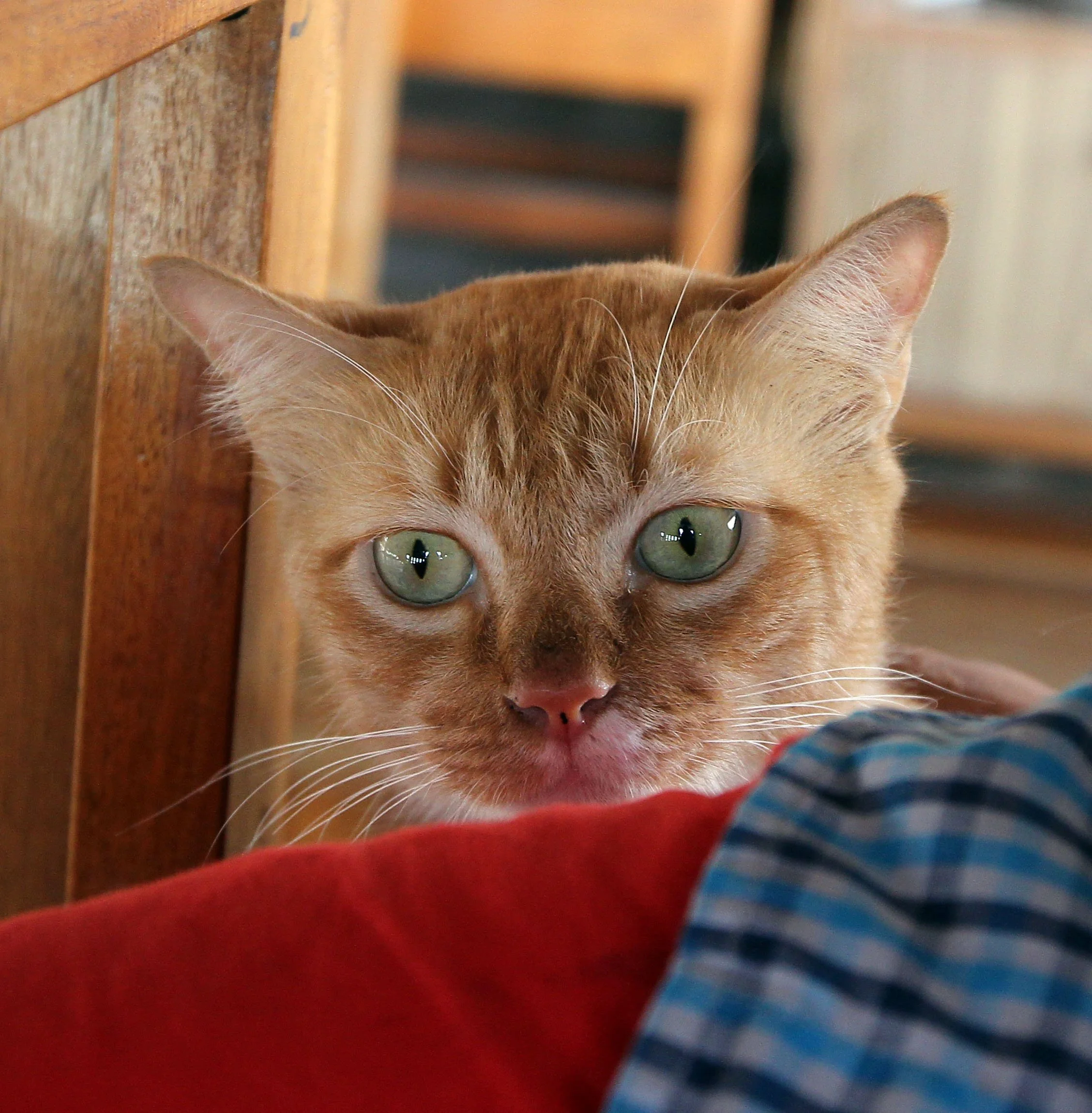 2015 Koh Lanta Summer Misc Images (745).JPG