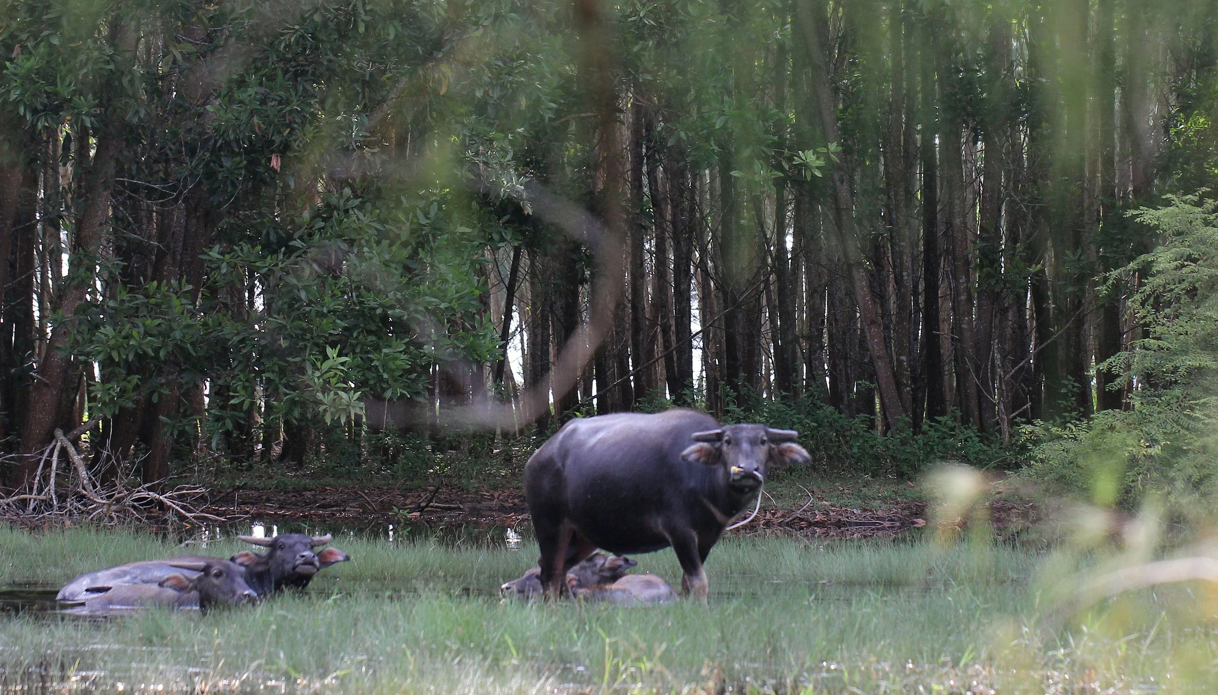 2015 Koh Lanta October Break Trip  (49).JPG