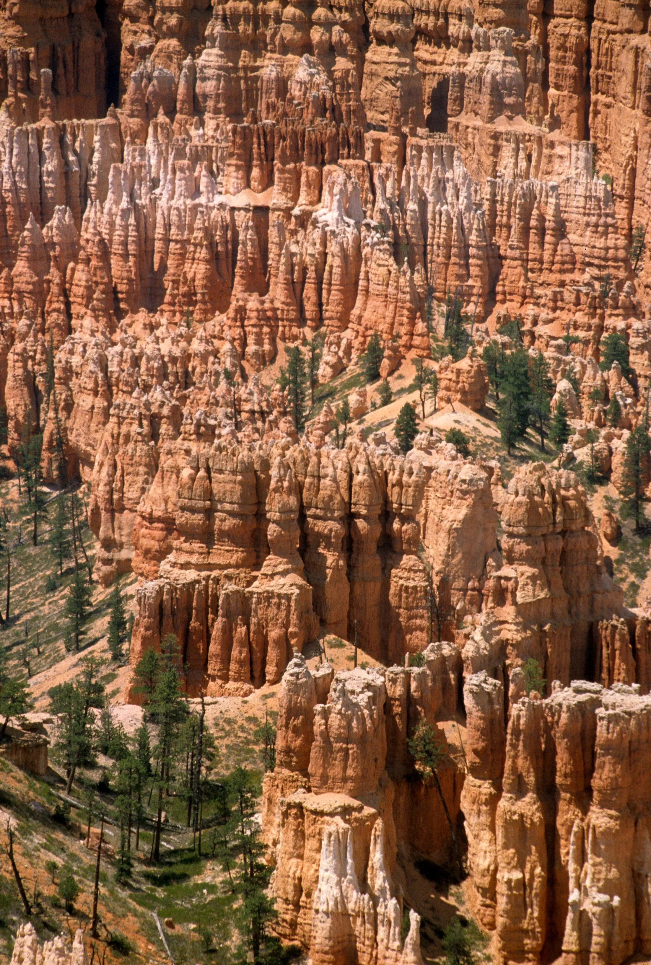 UTAH - BRYCE CANYON B.jpg