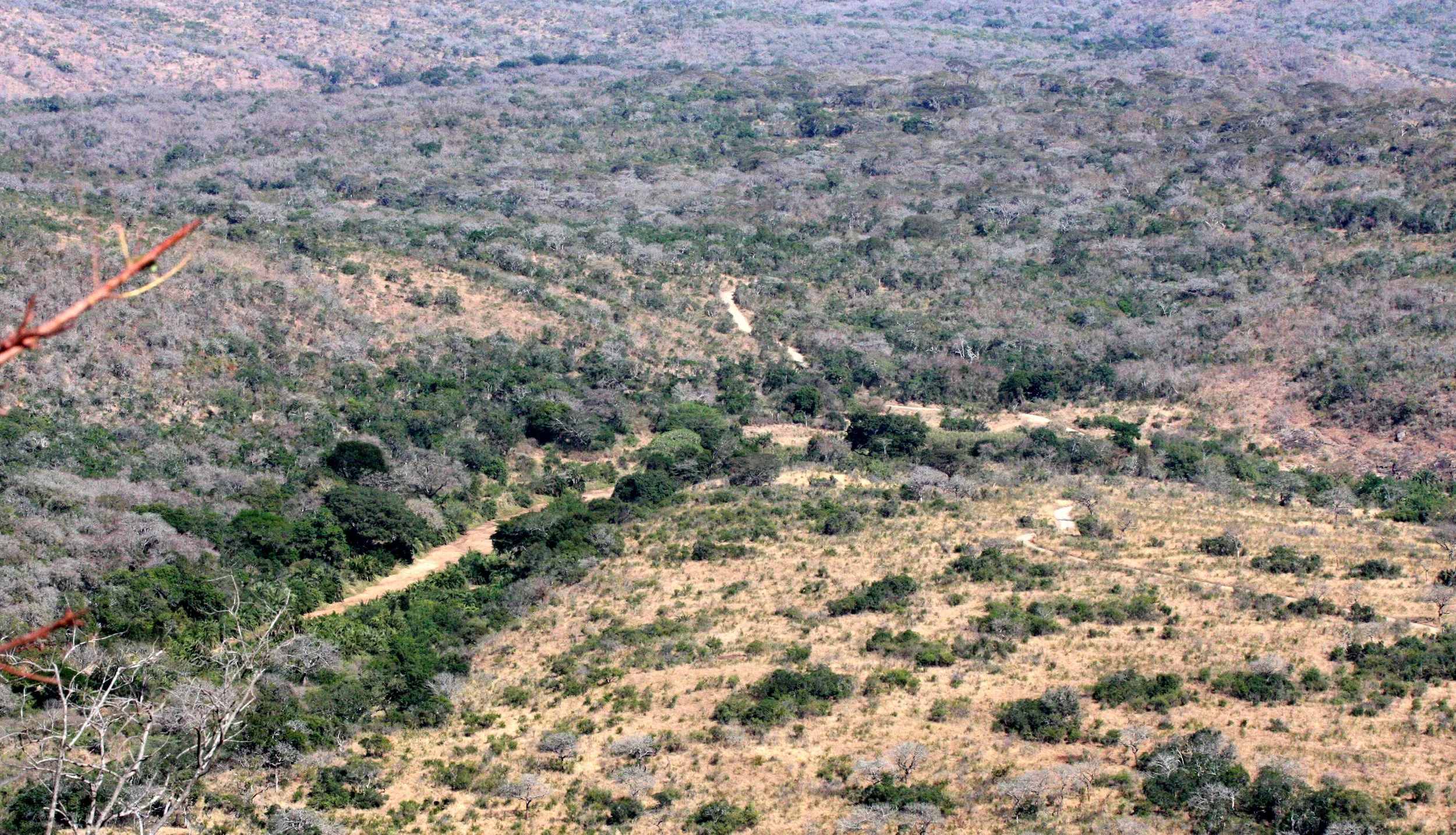 IMFOLOZI NATIONAL PARK SOUTH AFRICA - BUSHVELD COMMUNITY (9).JPG