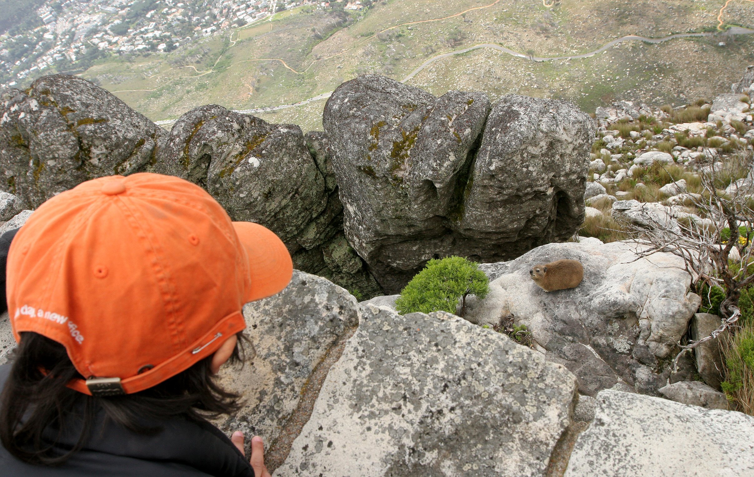 TABLE MOUNTAIN NATIONAL PARK - TABLE MOUNTAIN - CAPE TOWN SOUTH AFRICA (15).JPG