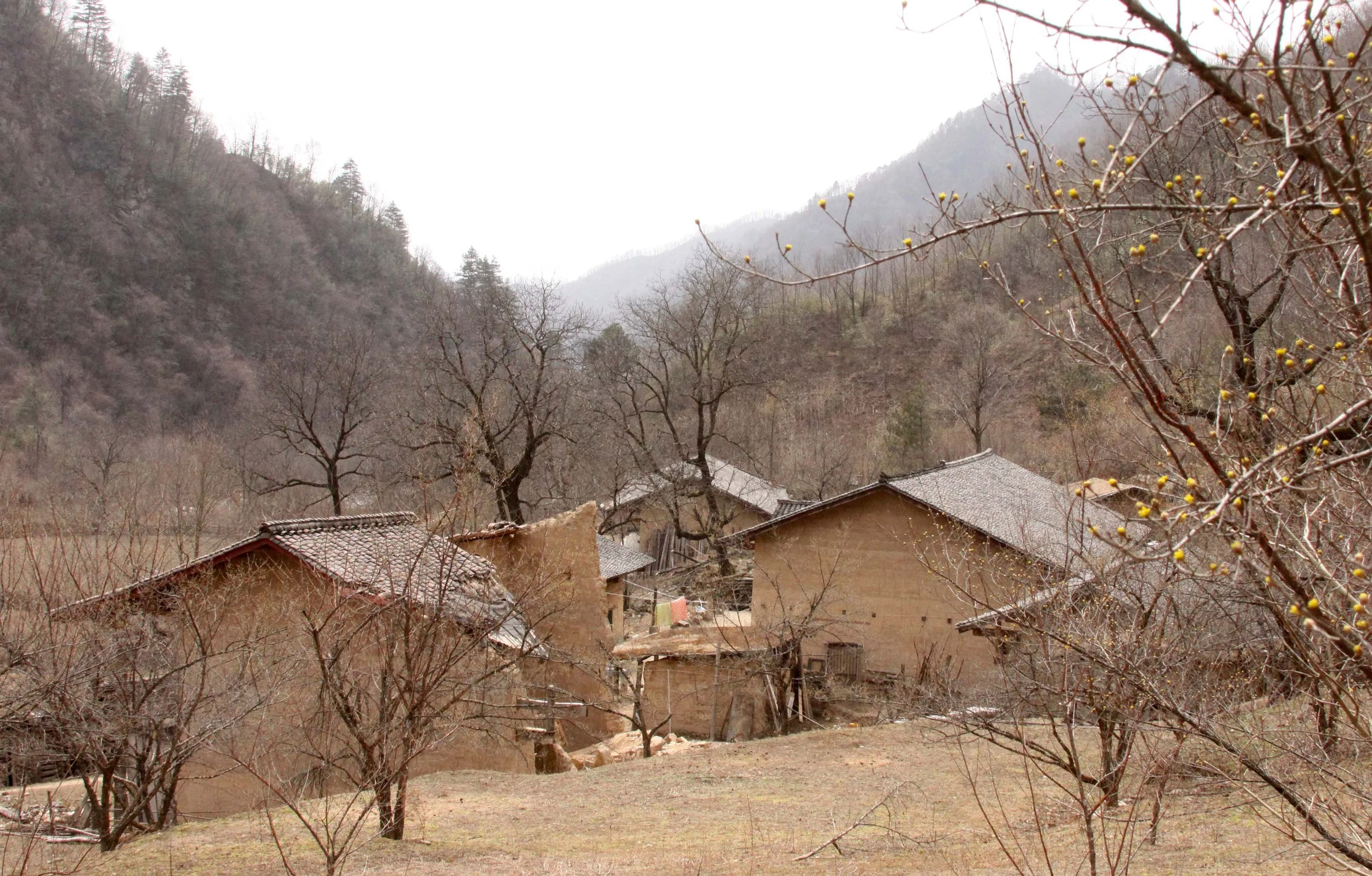 FOPING NATURE RESERVE - SHAANXI PROVINCE CHINA (239).JPG