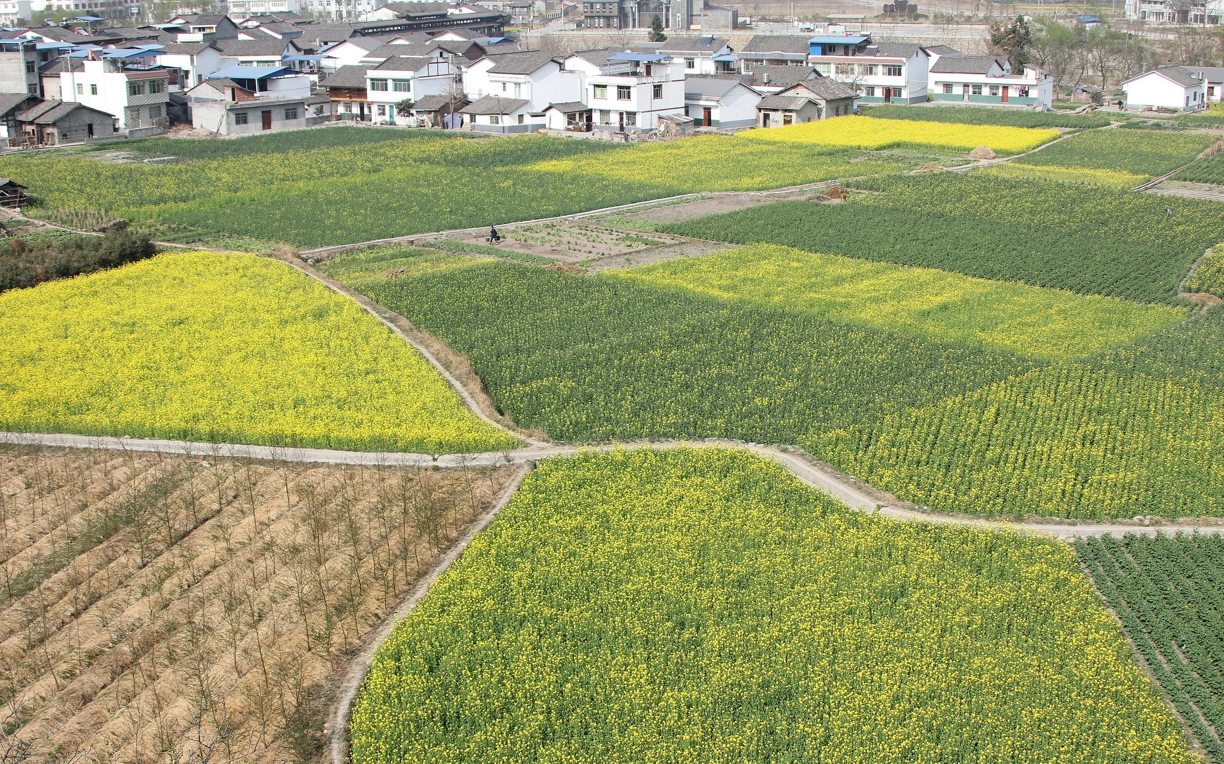 SHANGLI ANCIENT TOWN - SICHUAN CHINA (21).JPG