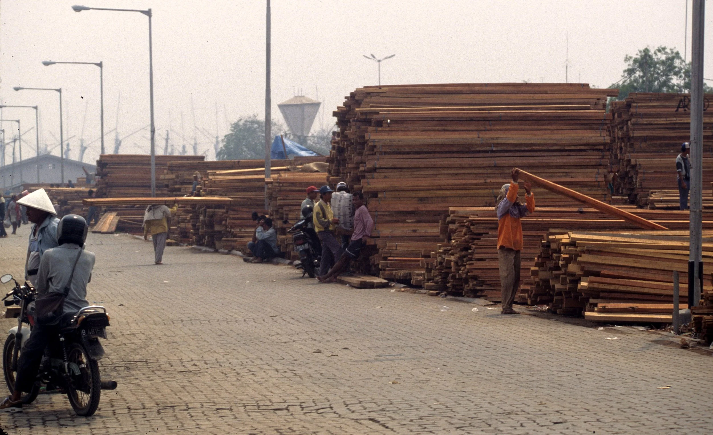 JAVA - TROPICAL HARDWOODS ON DOCKS.jpg