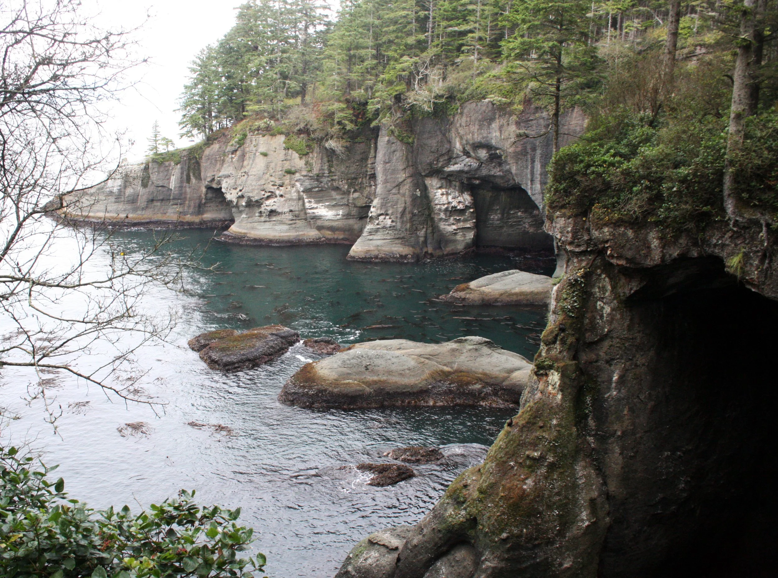 CAPE FLATTERY - TRAIL TO CAPE (11).JPG