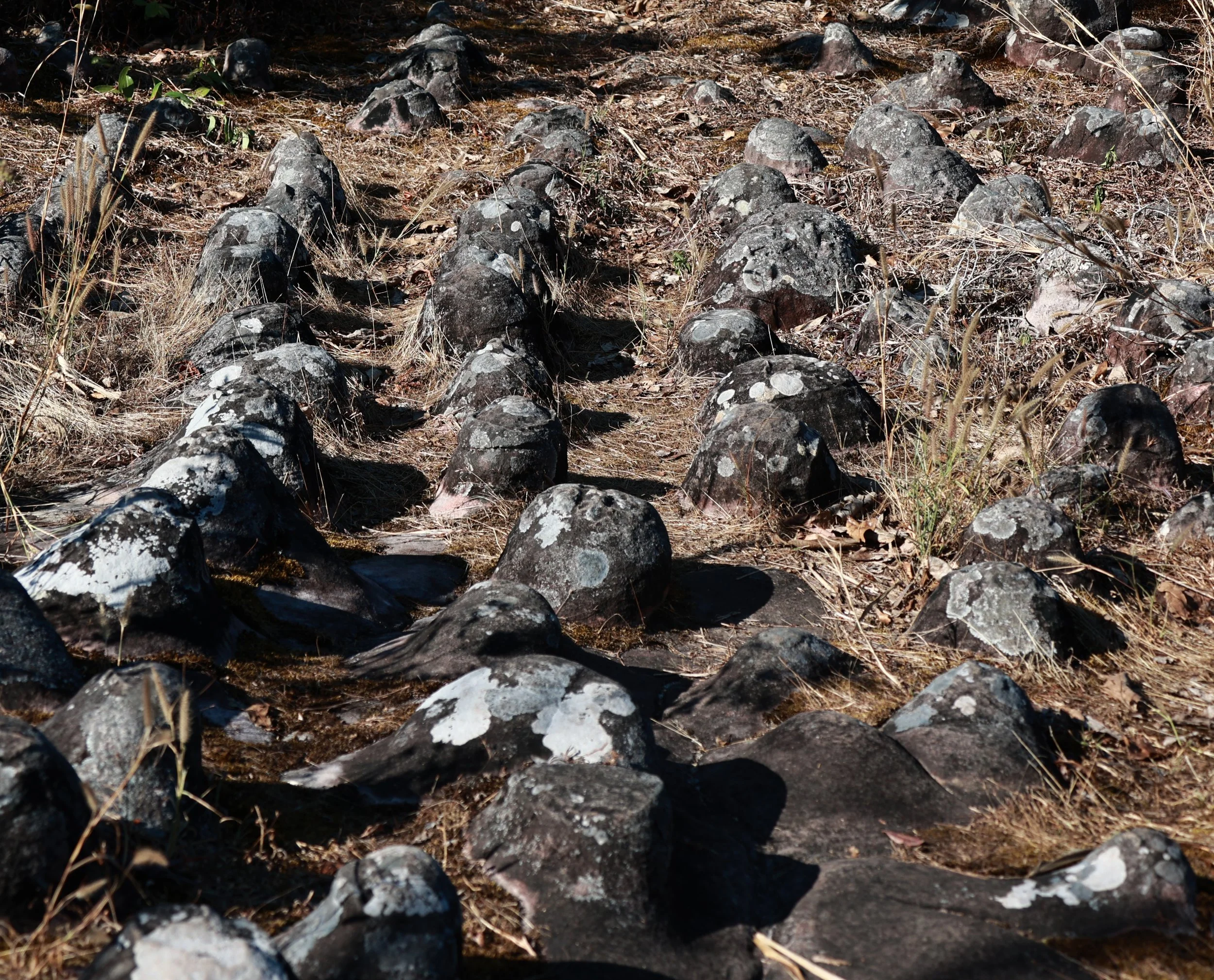 Phu Hin Rong Kla National Park Loei Province (46).jpg