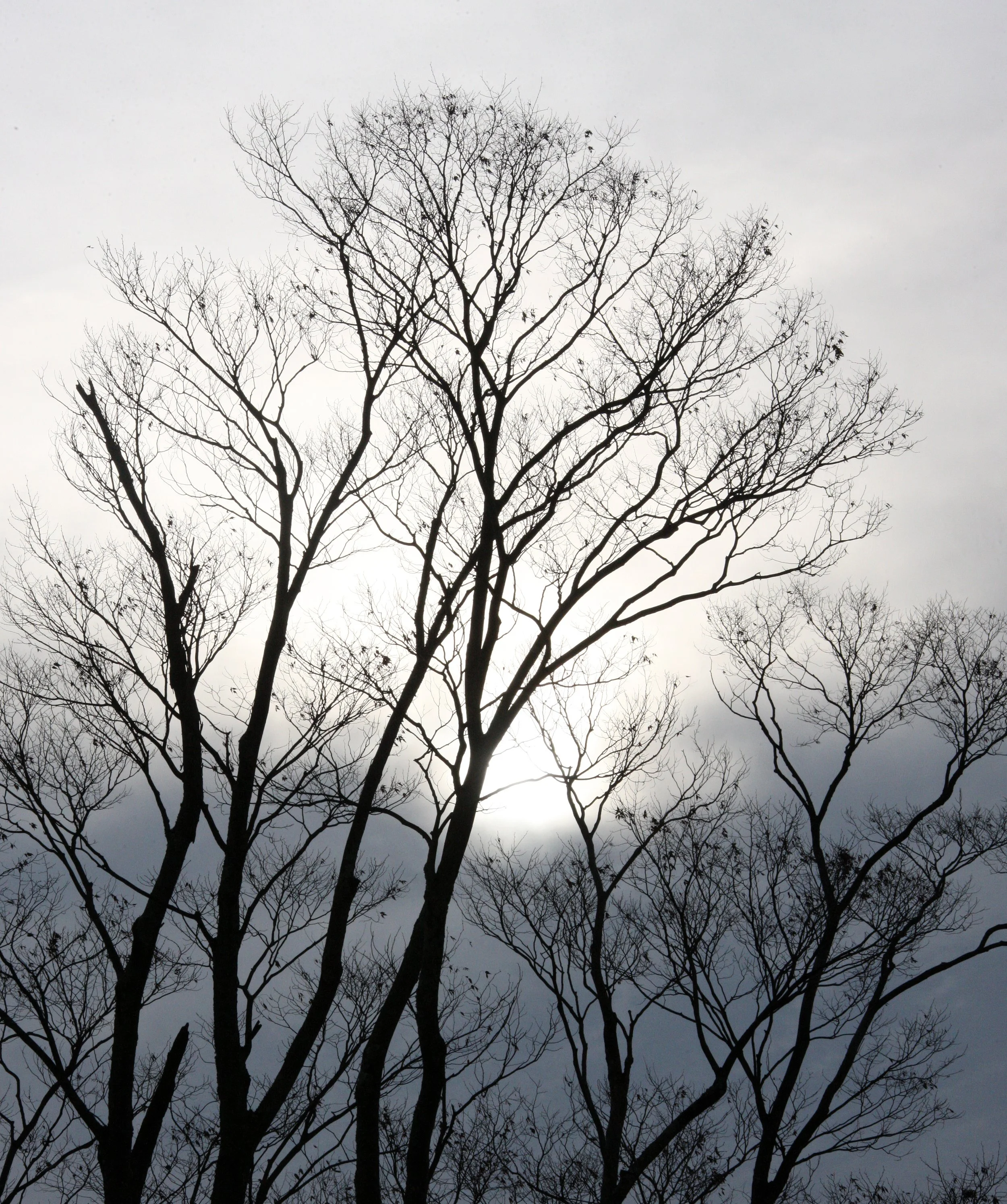 MAGOME JUKU POST TOWN - NAGANO PREFECTURE JAPAN (25).JPG