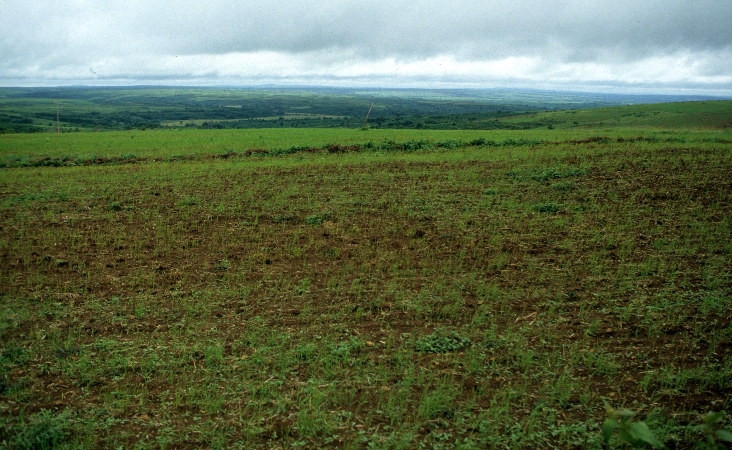 CENTRAL HIGHLAND - NEAR CAMBODIA.jpg